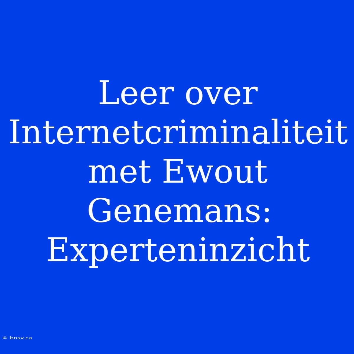 Leer Over Internetcriminaliteit Met Ewout Genemans: Experteninzicht