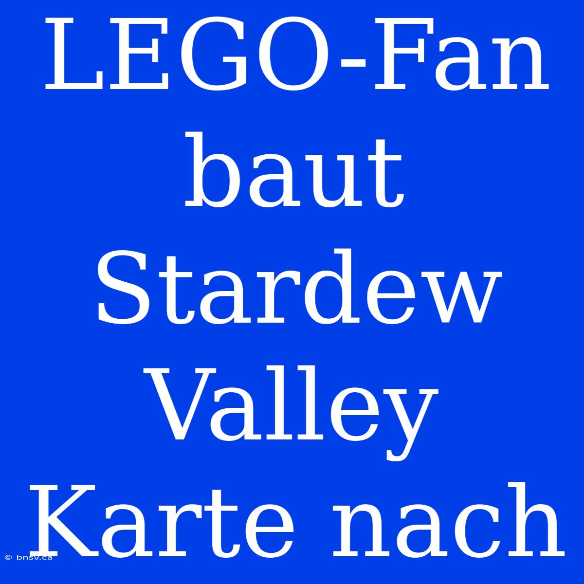 LEGO-Fan Baut Stardew Valley Karte Nach