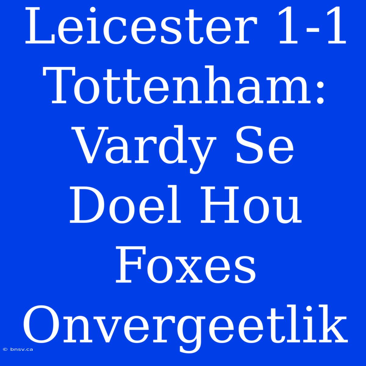 Leicester 1-1 Tottenham: Vardy Se Doel Hou Foxes Onvergeetlik