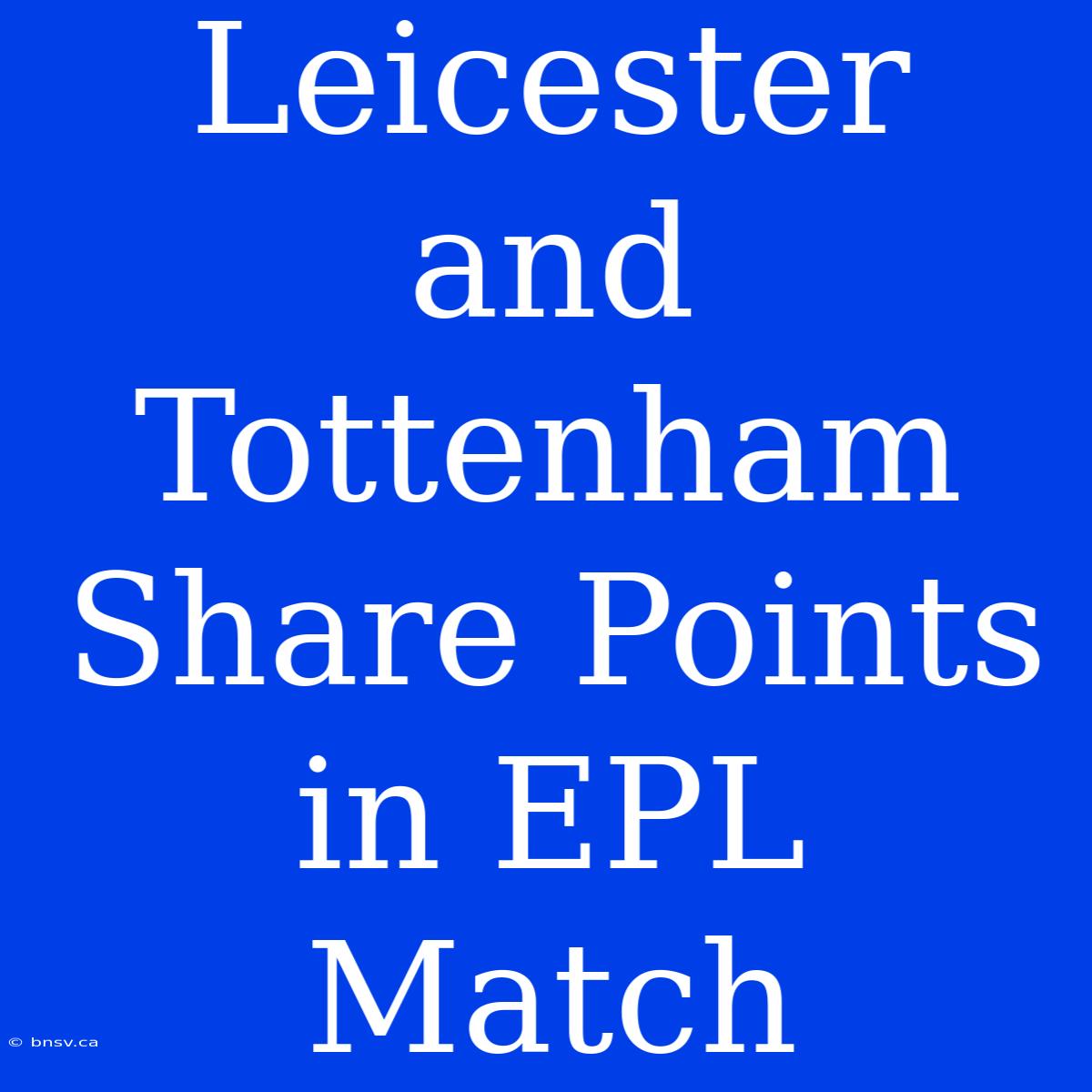 Leicester And Tottenham Share Points In EPL Match