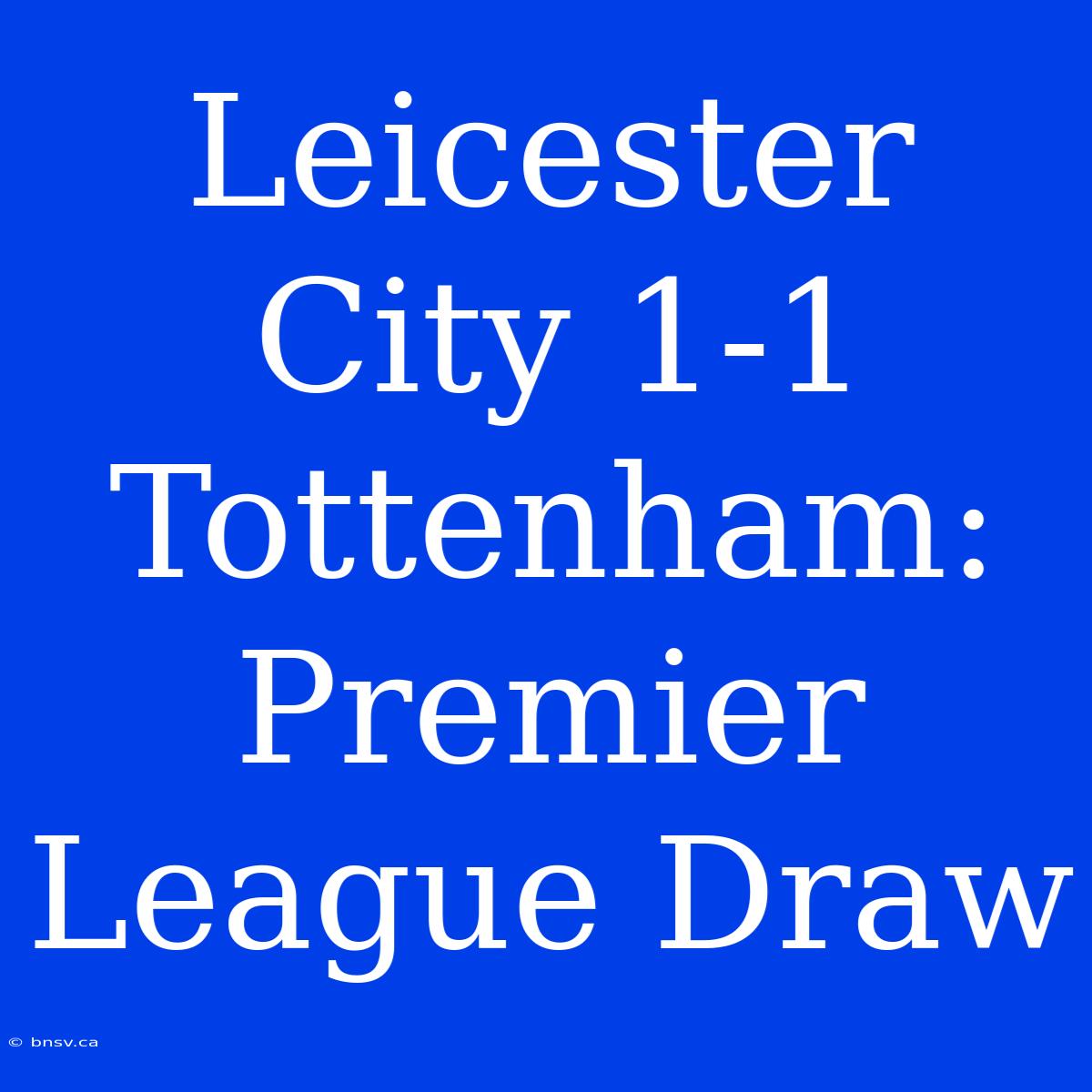 Leicester City 1-1 Tottenham: Premier League Draw