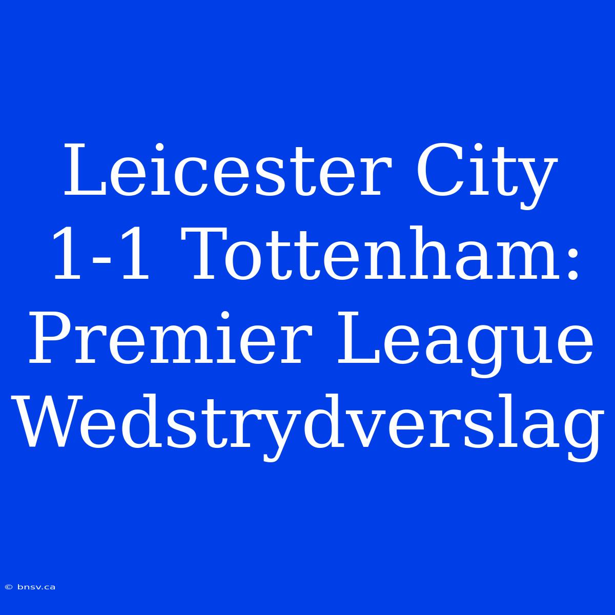 Leicester City 1-1 Tottenham: Premier League Wedstrydverslag