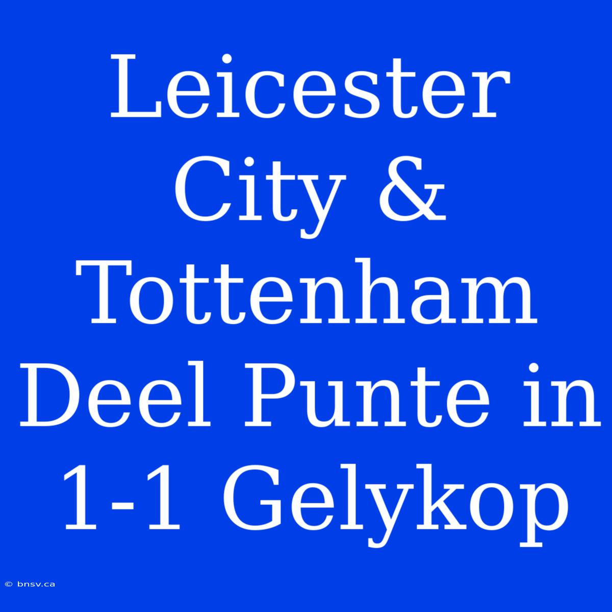 Leicester City & Tottenham Deel Punte In 1-1 Gelykop