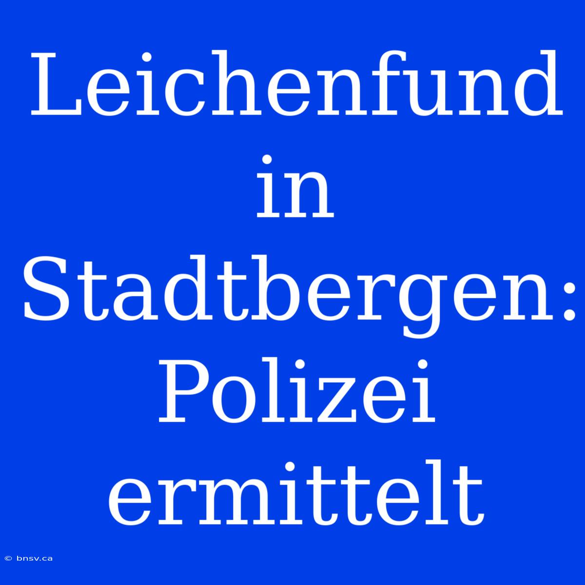 Leichenfund In Stadtbergen: Polizei Ermittelt