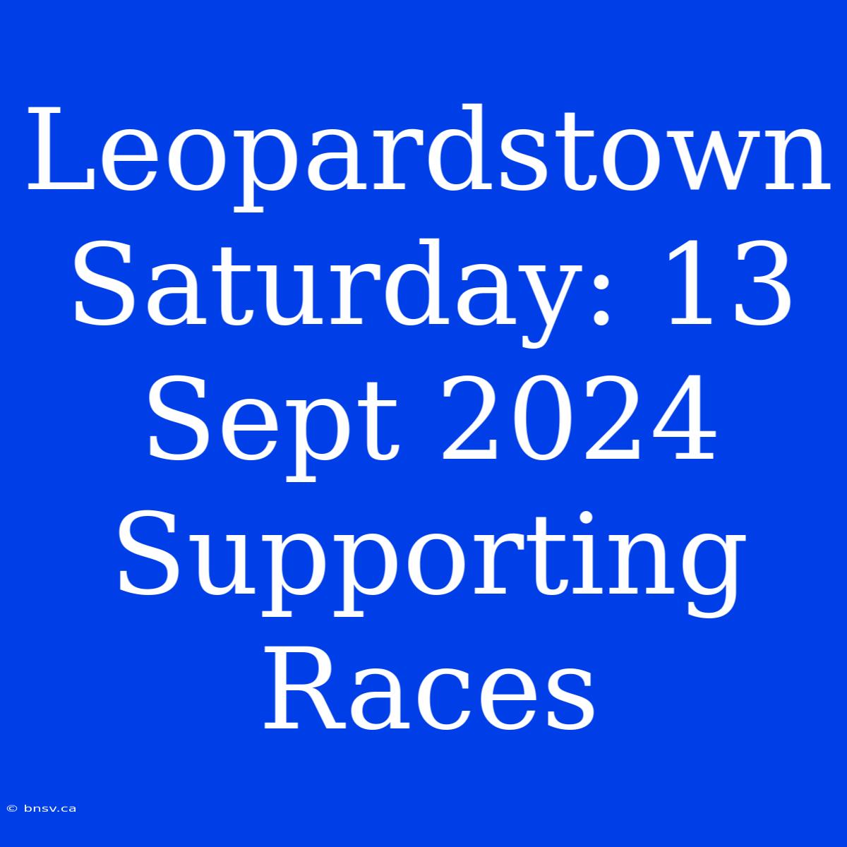 Leopardstown Saturday: 13 Sept 2024 Supporting Races