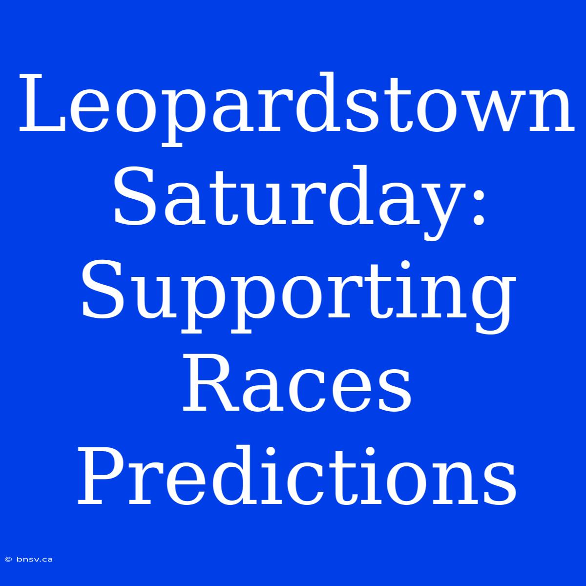 Leopardstown Saturday: Supporting Races Predictions