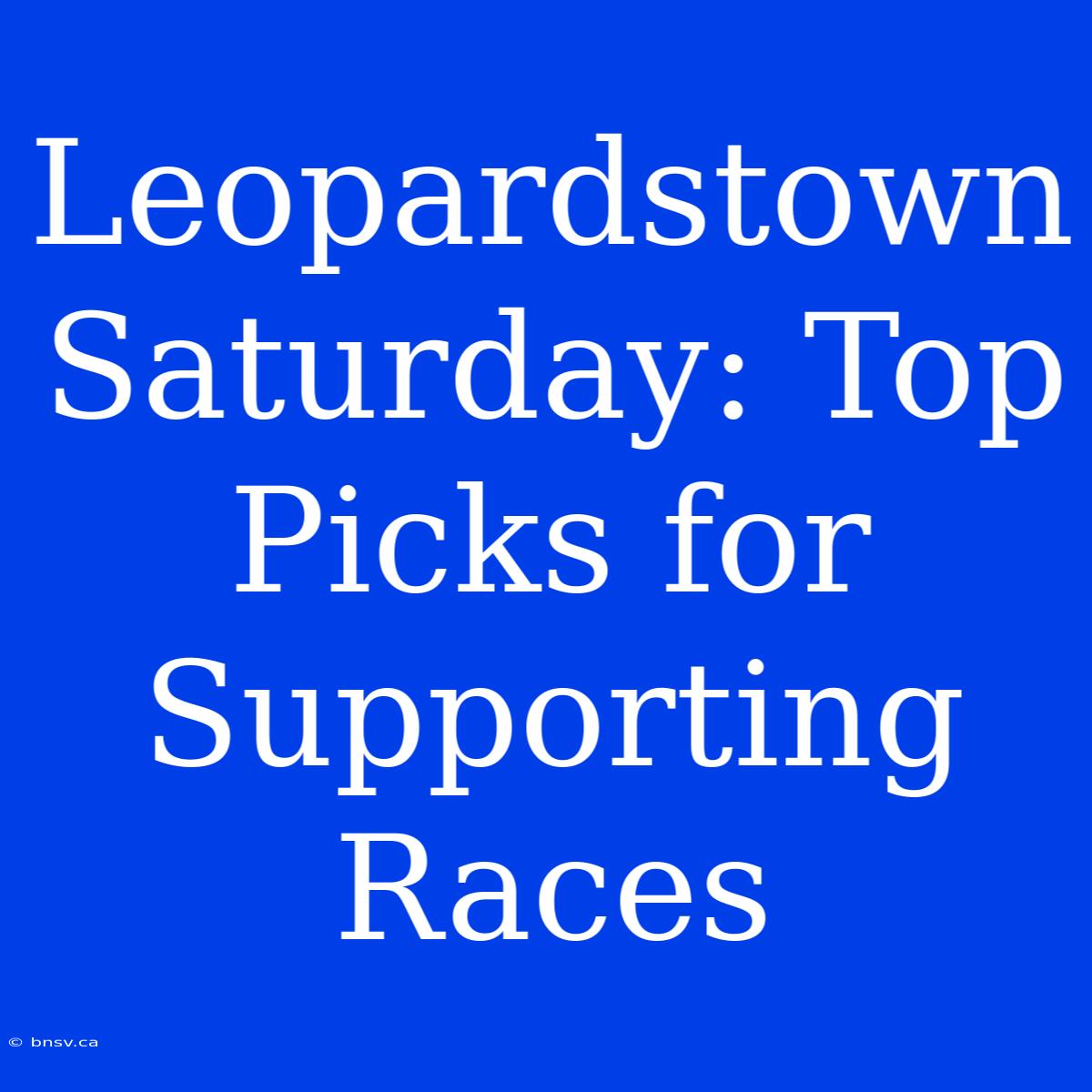 Leopardstown Saturday: Top Picks For Supporting Races