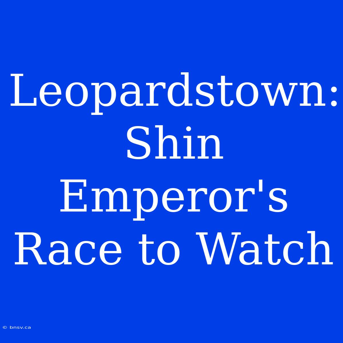 Leopardstown: Shin Emperor's Race To Watch