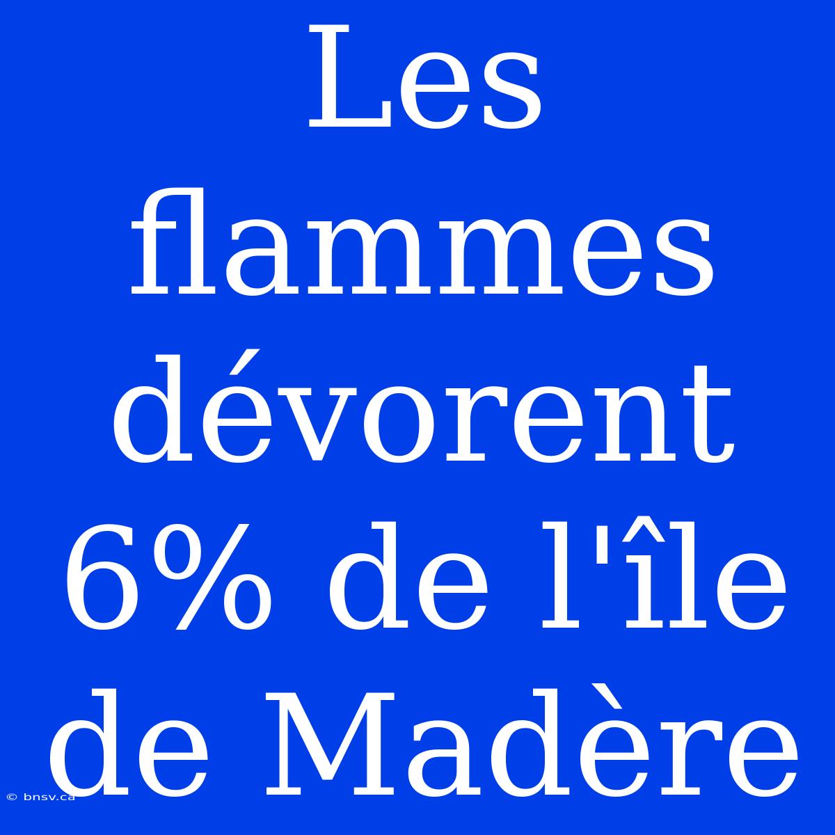 Les Flammes Dévorent 6% De L'île De Madère