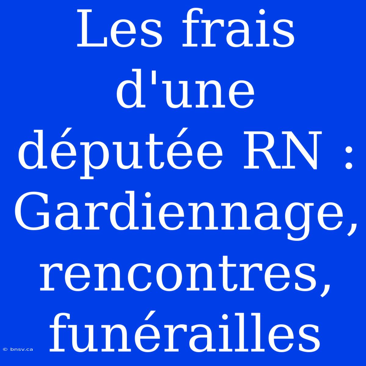 Les Frais D'une Députée RN : Gardiennage, Rencontres, Funérailles