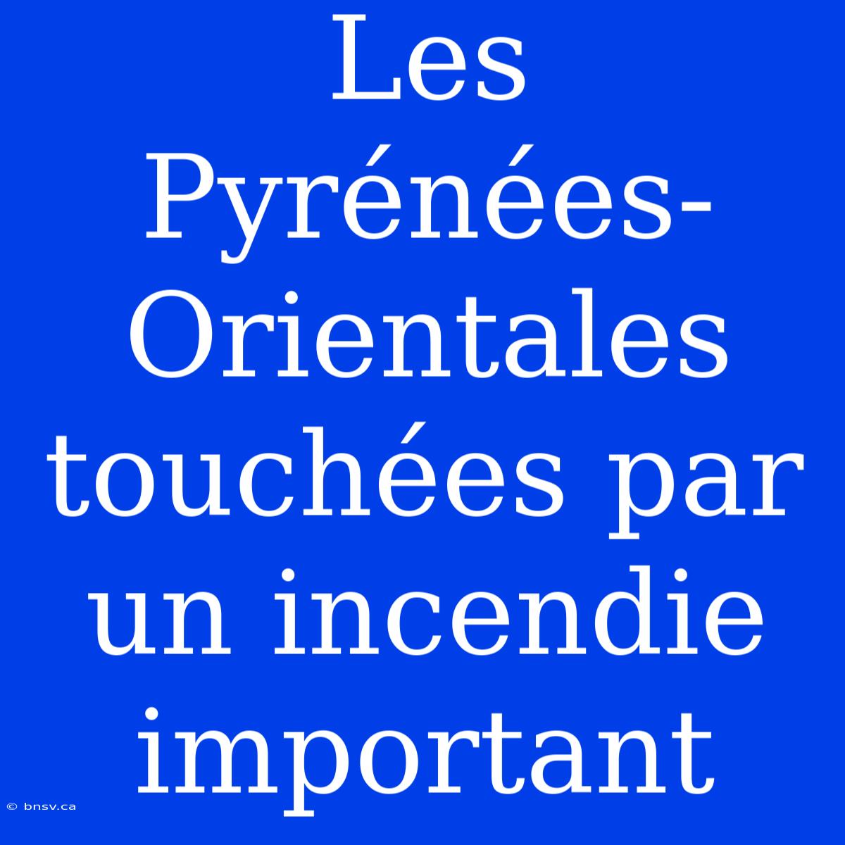 Les Pyrénées-Orientales Touchées Par Un Incendie Important