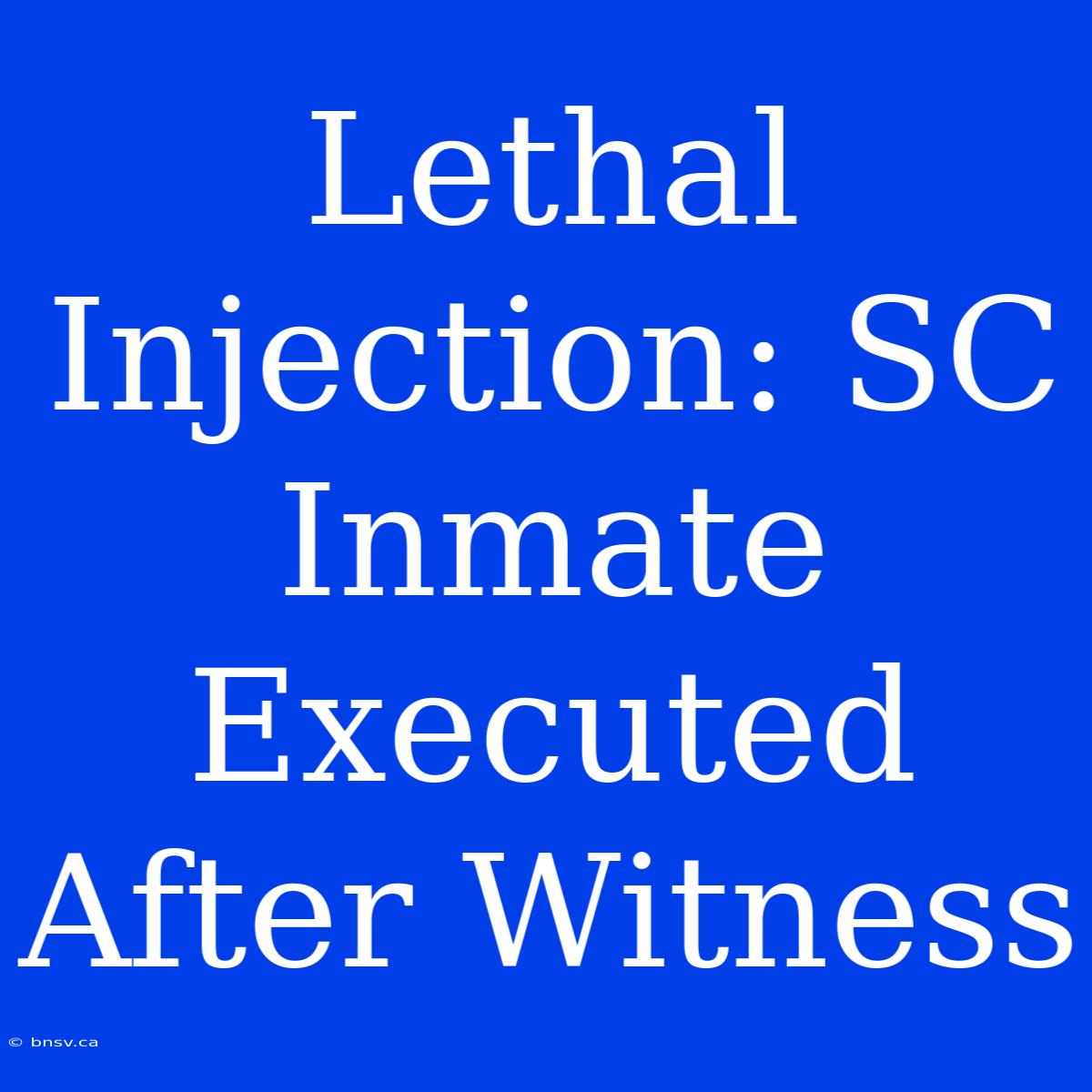 Lethal Injection: SC Inmate Executed After Witness