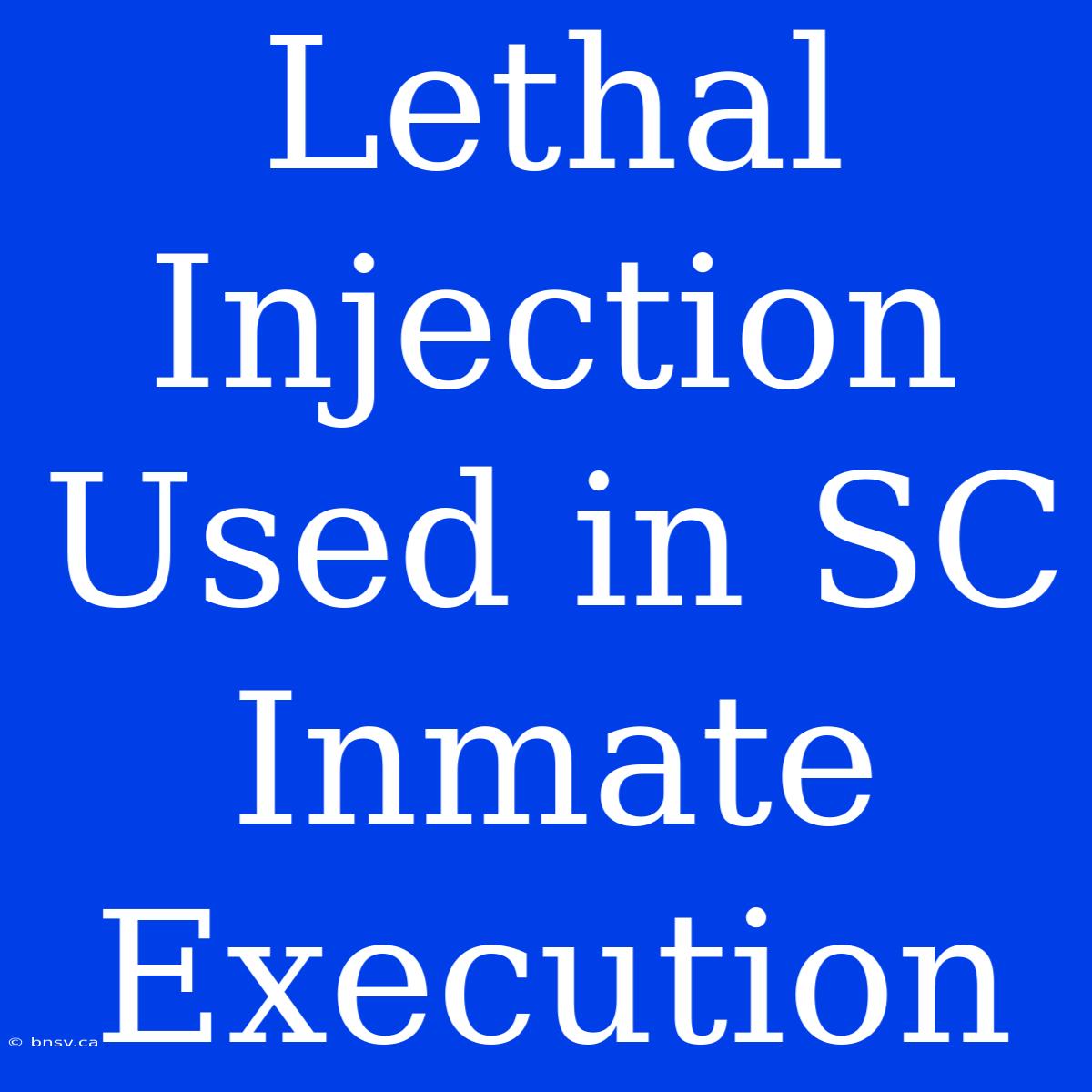 Lethal Injection Used In SC Inmate Execution