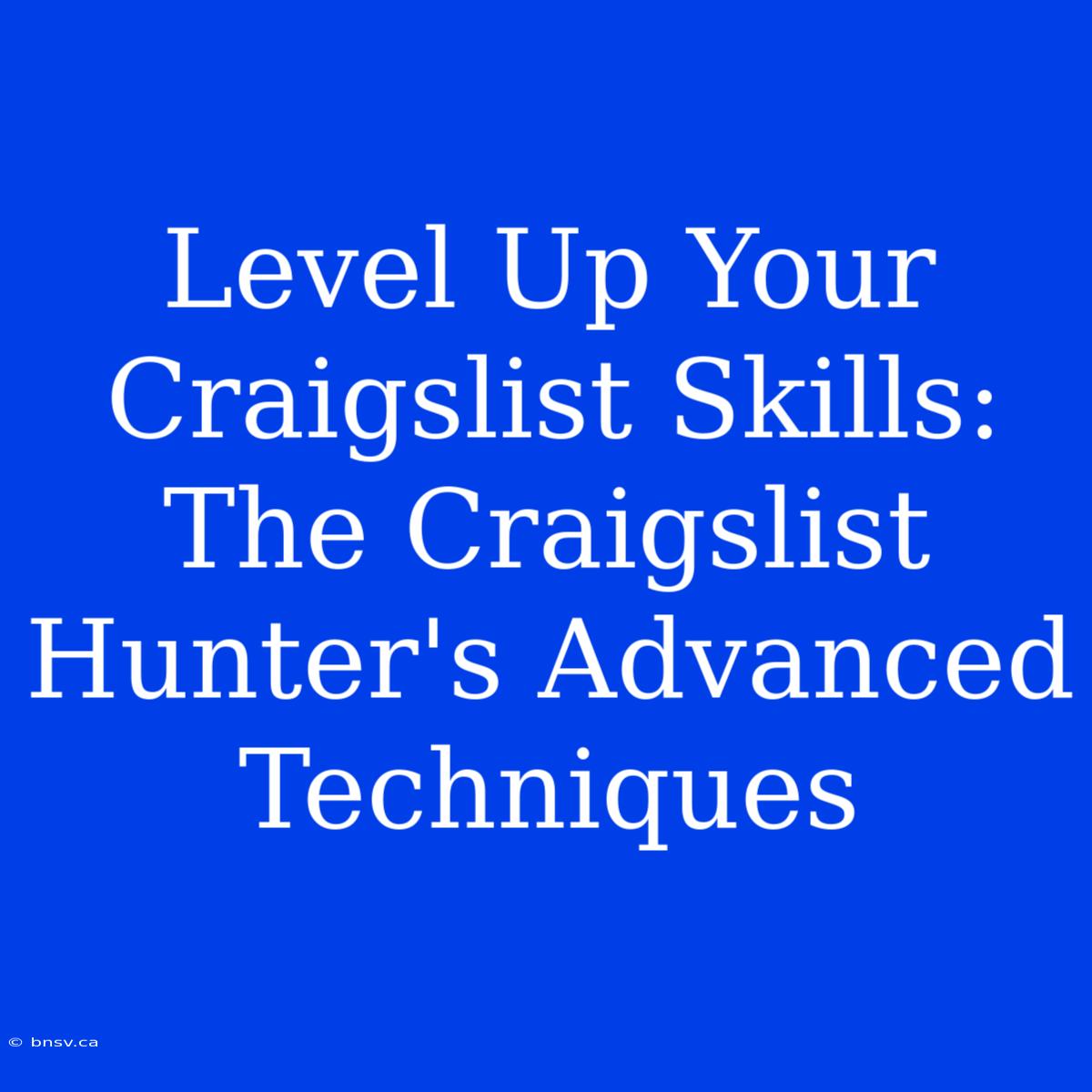 Level Up Your Craigslist Skills: The Craigslist Hunter's Advanced Techniques