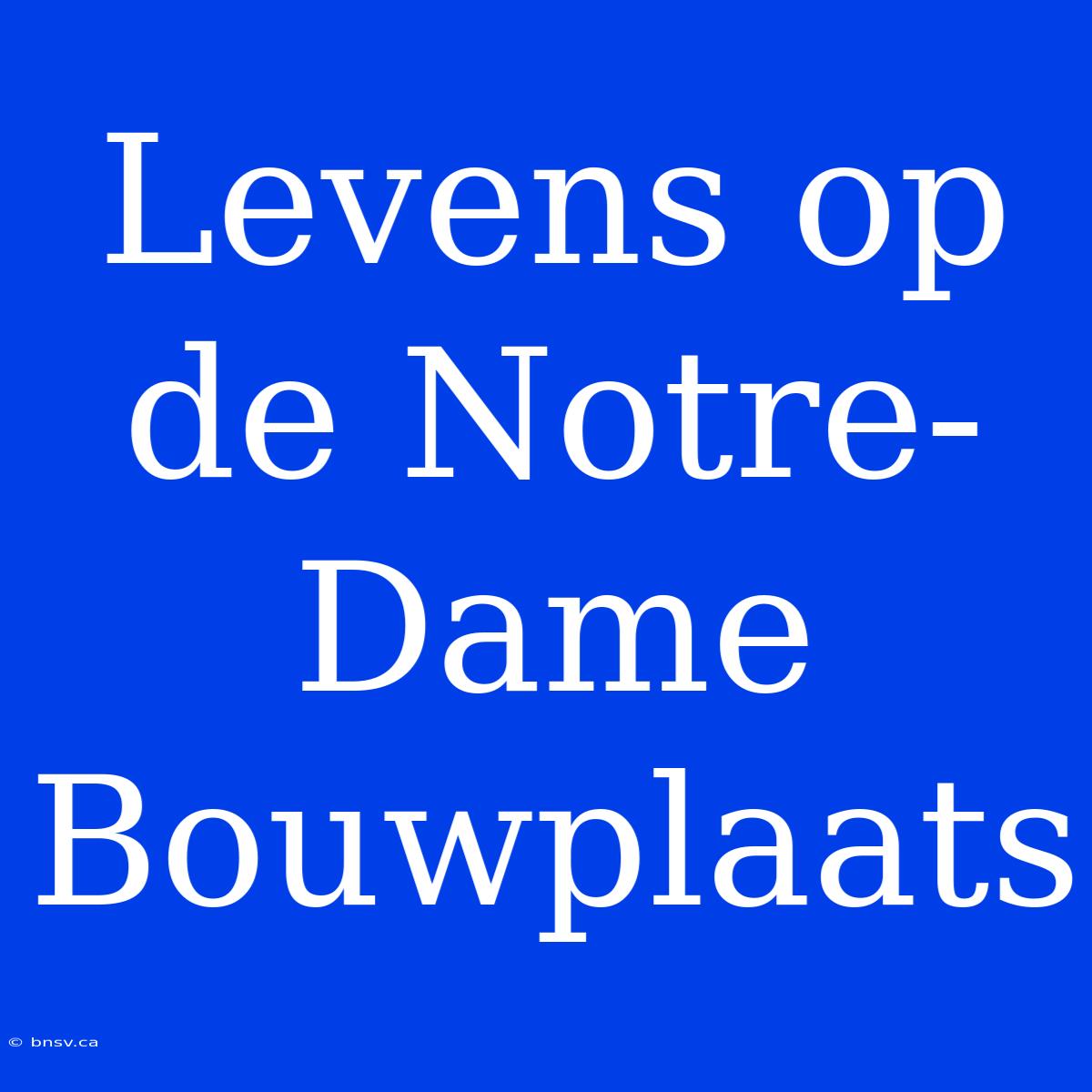 Levens Op De Notre-Dame Bouwplaats