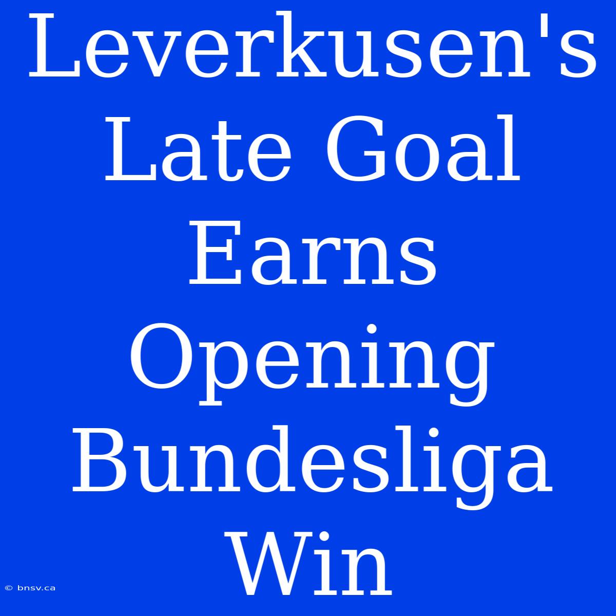 Leverkusen's Late Goal Earns Opening Bundesliga Win