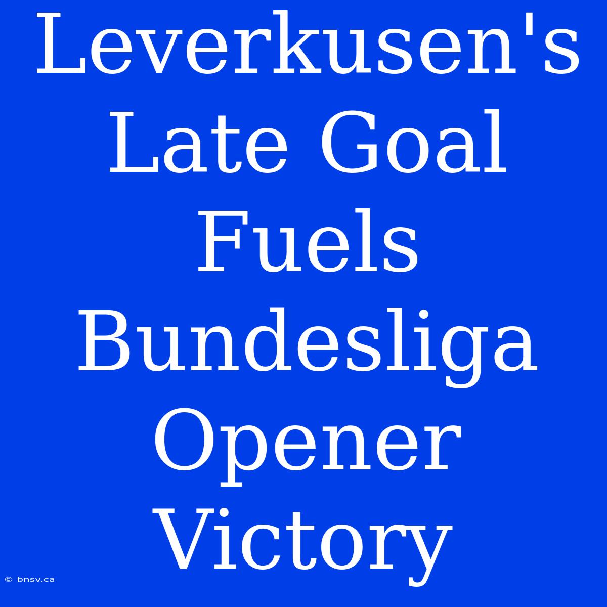 Leverkusen's Late Goal Fuels Bundesliga Opener Victory