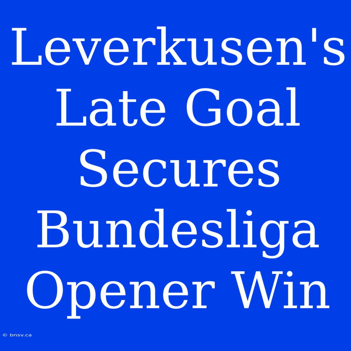 Leverkusen's Late Goal Secures Bundesliga Opener Win