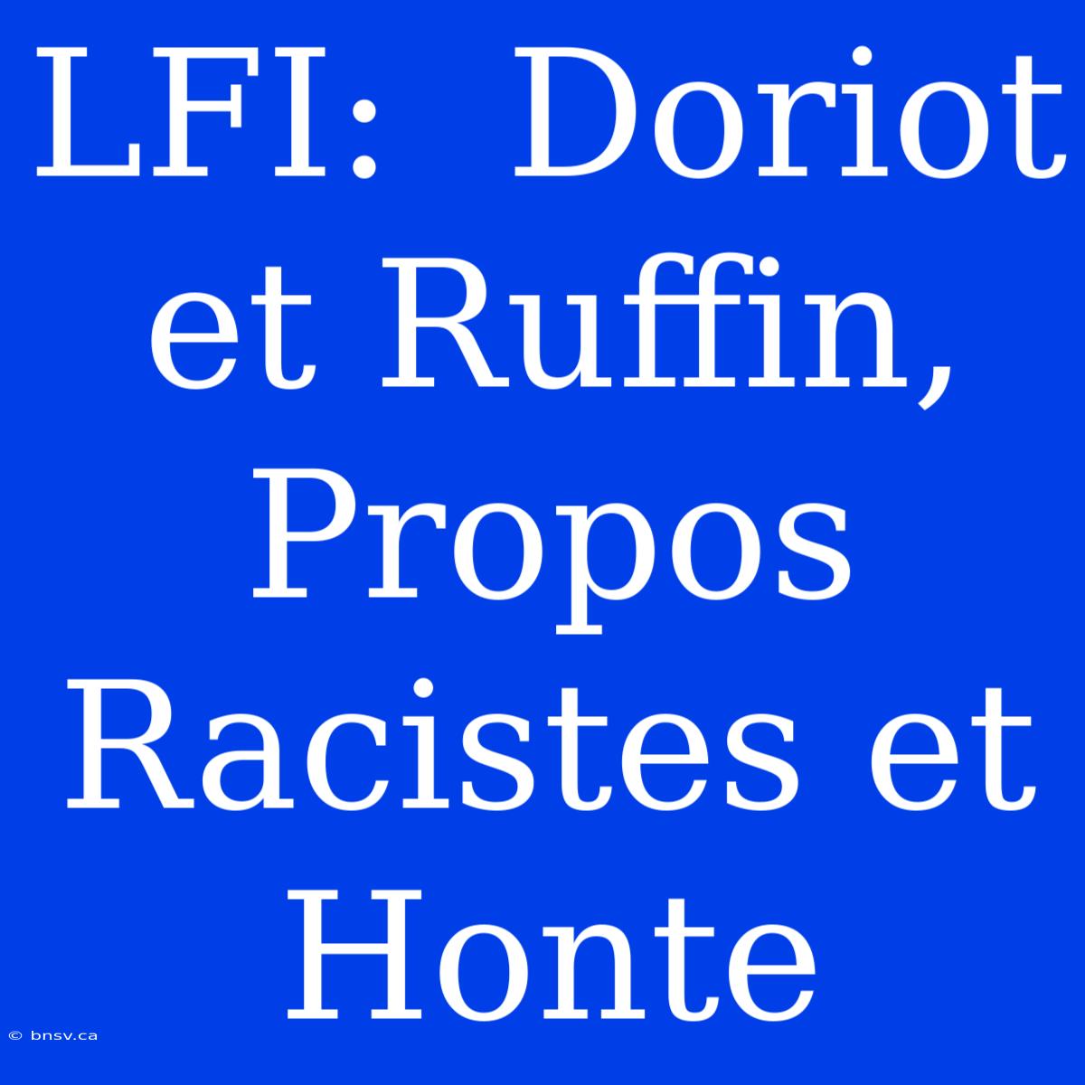 LFI:  Doriot Et Ruffin, Propos Racistes Et Honte