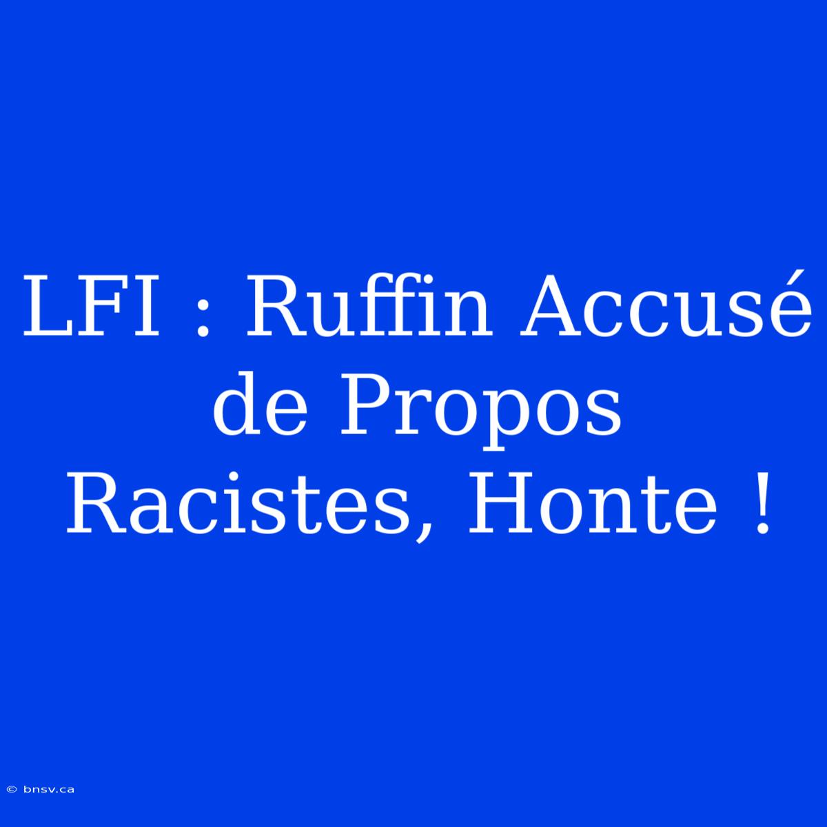 LFI : Ruffin Accusé De Propos Racistes, Honte !