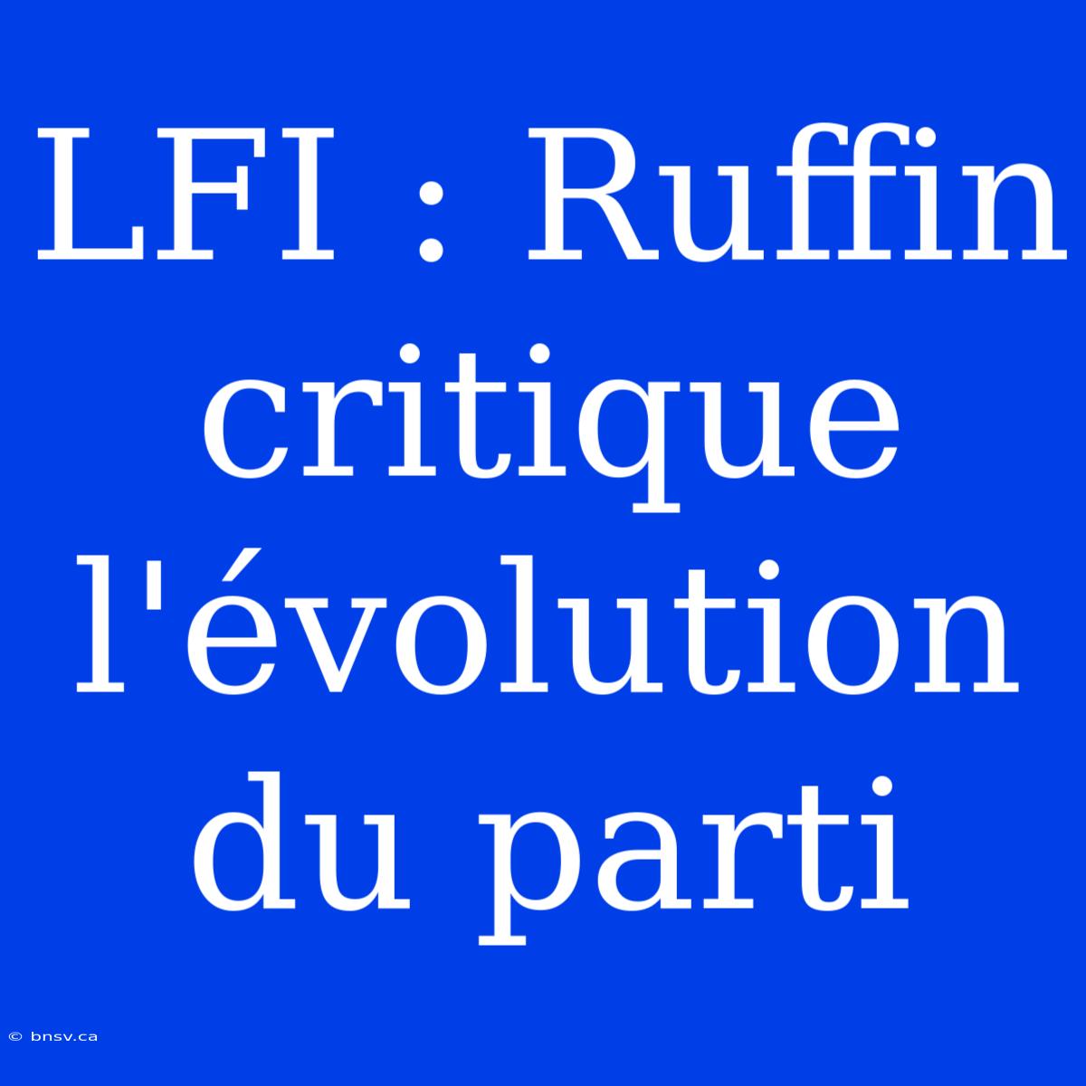 LFI : Ruffin Critique L'évolution Du Parti