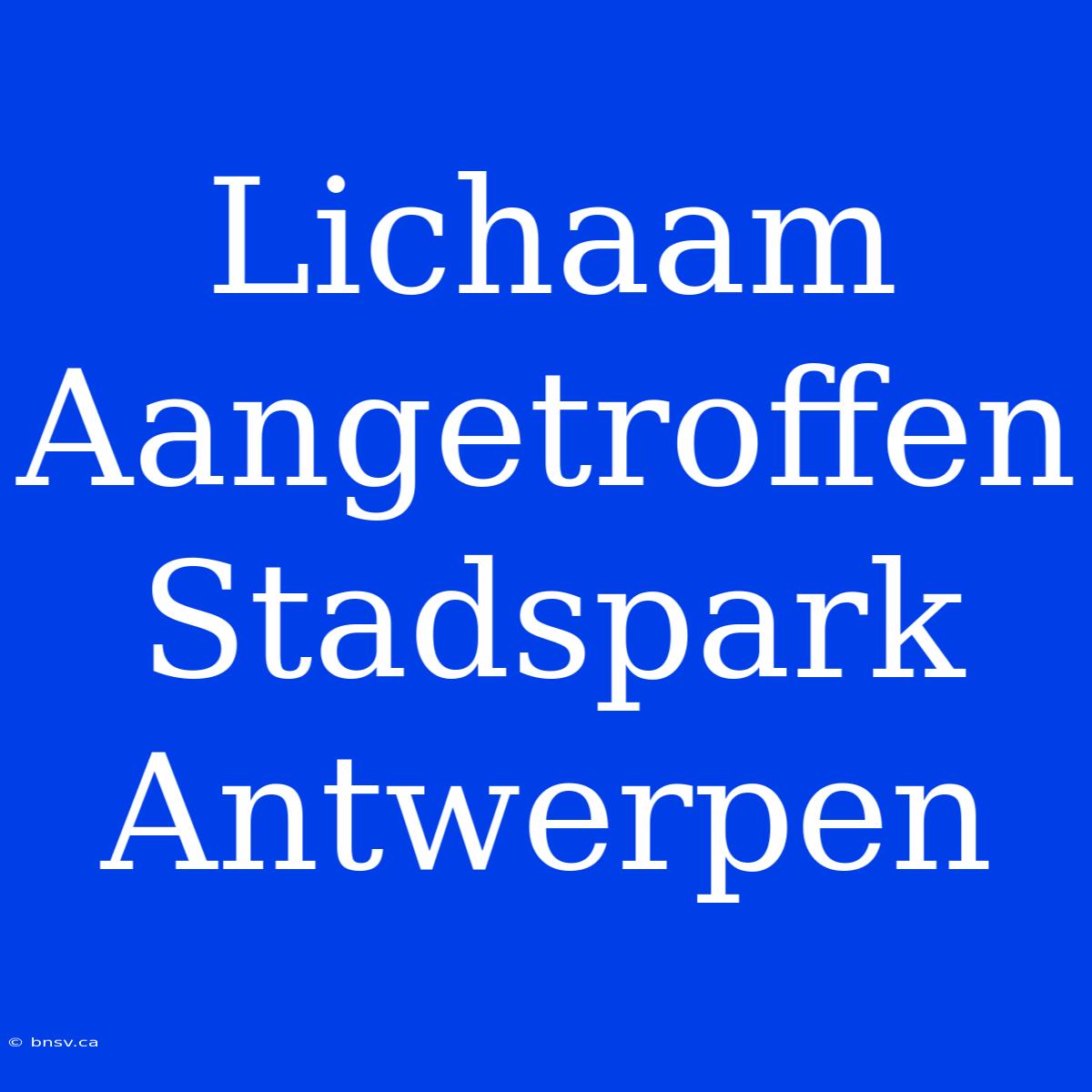 Lichaam Aangetroffen Stadspark Antwerpen