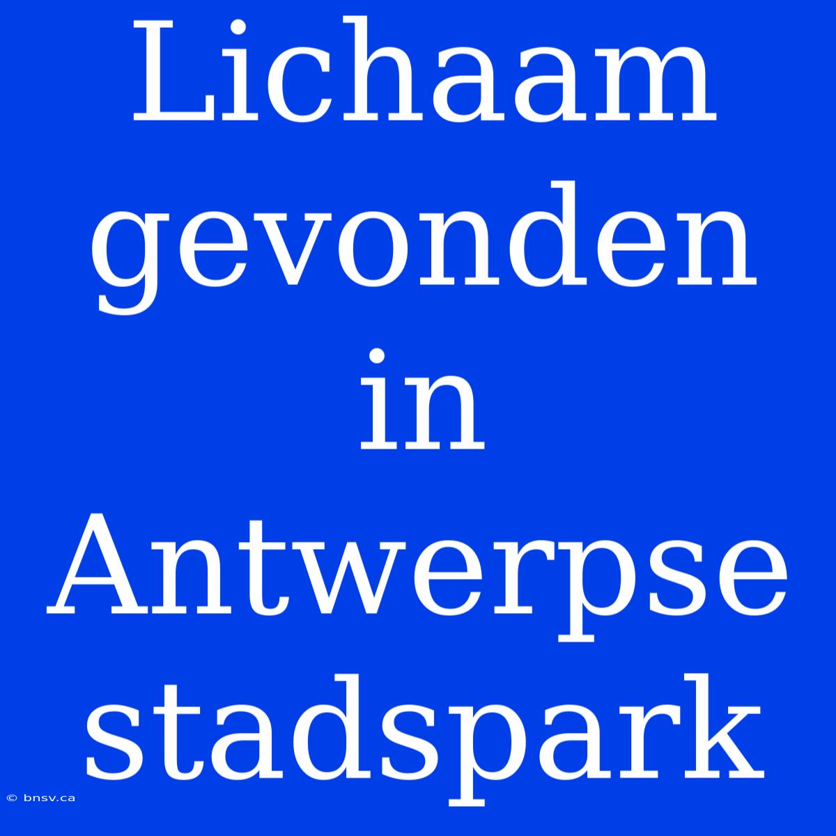 Lichaam Gevonden In Antwerpse Stadspark