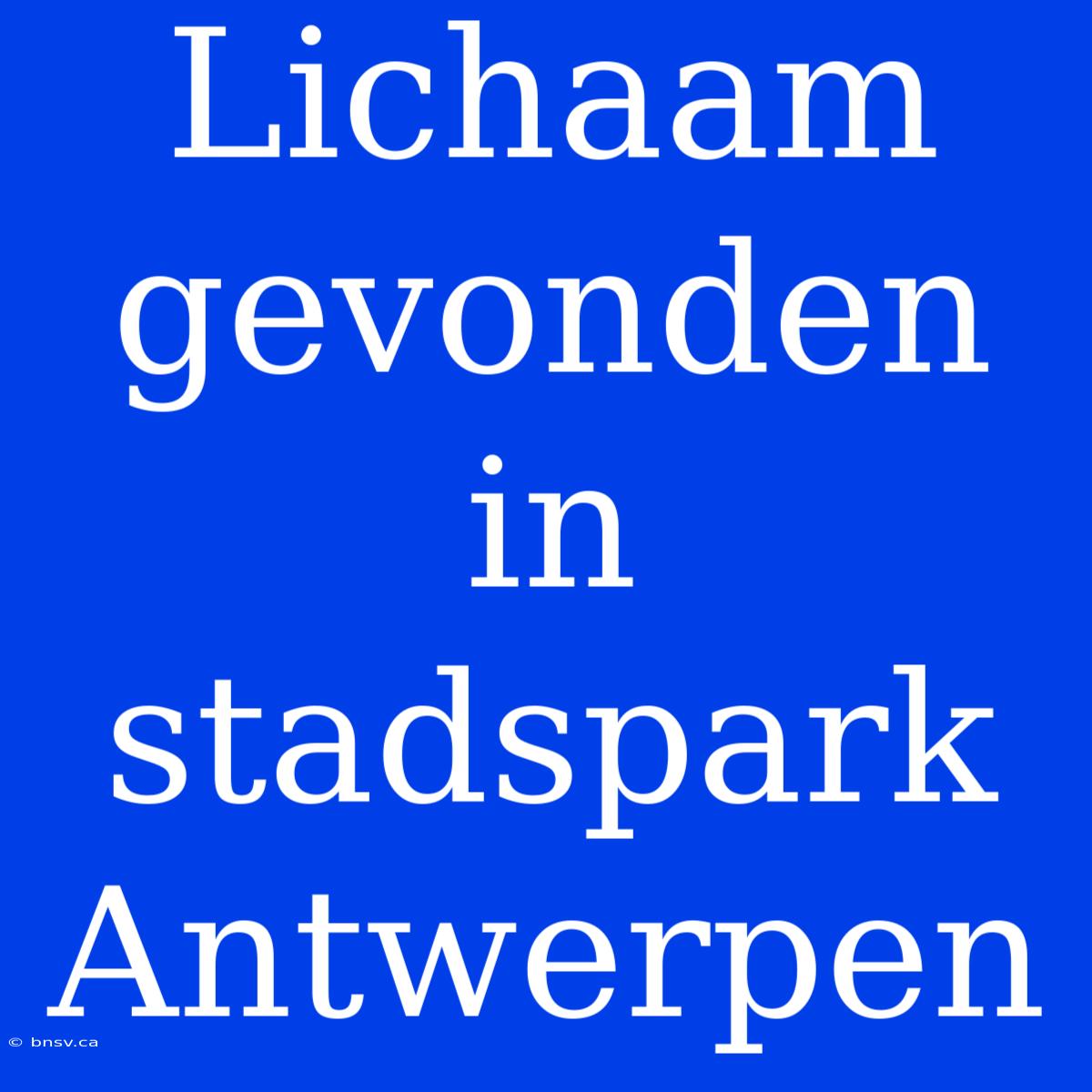 Lichaam Gevonden In Stadspark Antwerpen