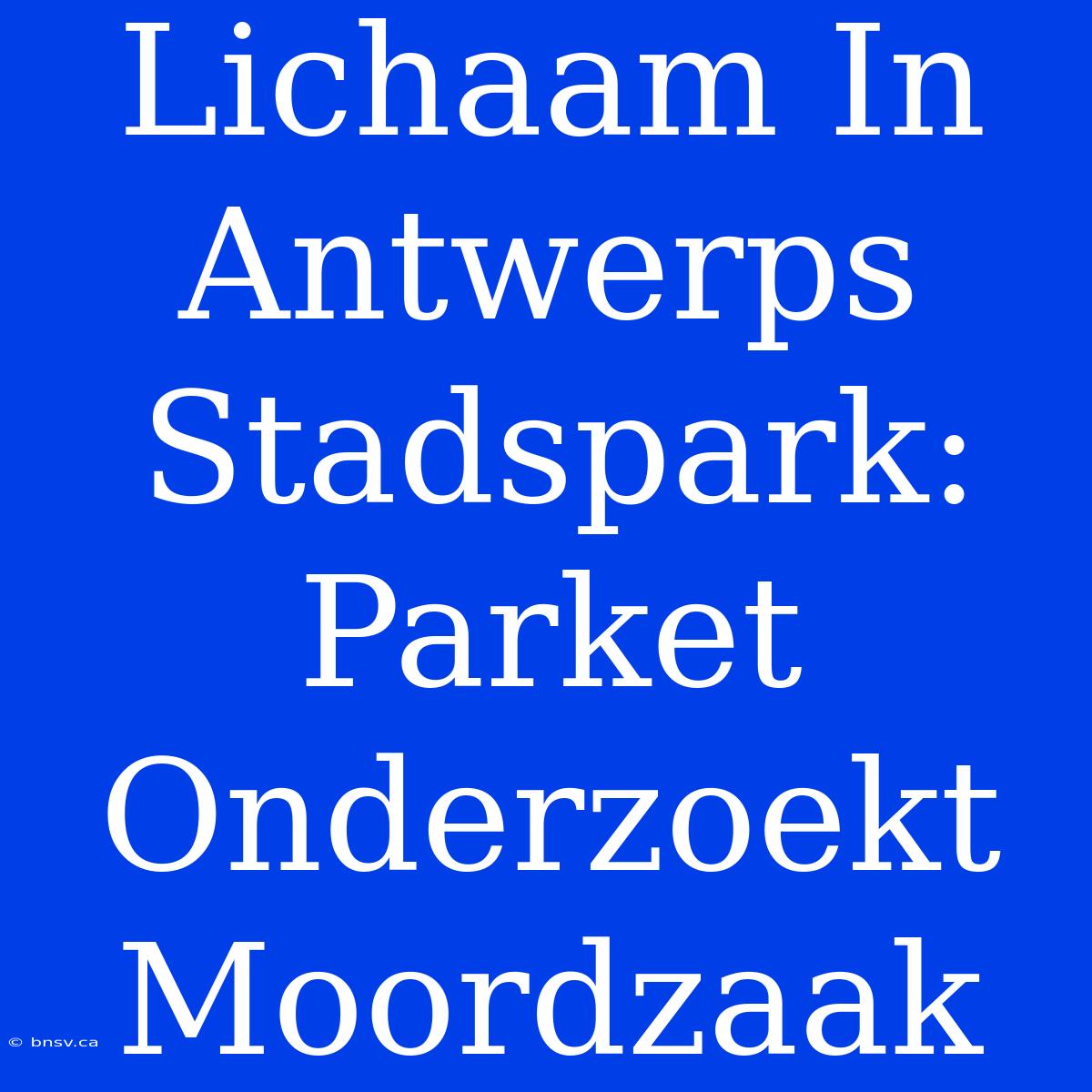 Lichaam In Antwerps Stadspark: Parket Onderzoekt Moordzaak