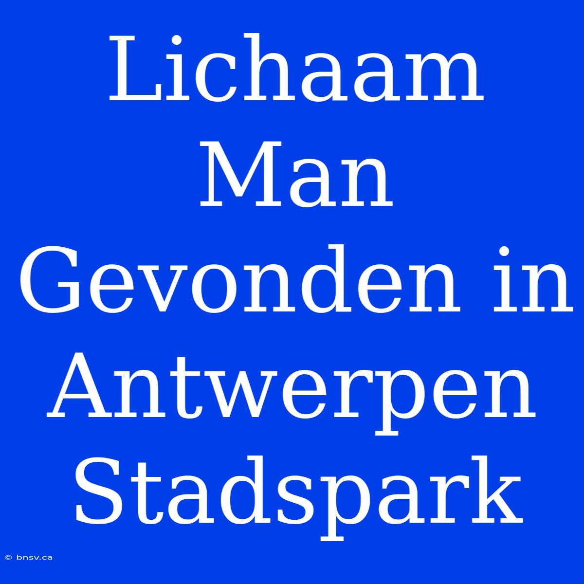 Lichaam Man Gevonden In Antwerpen Stadspark