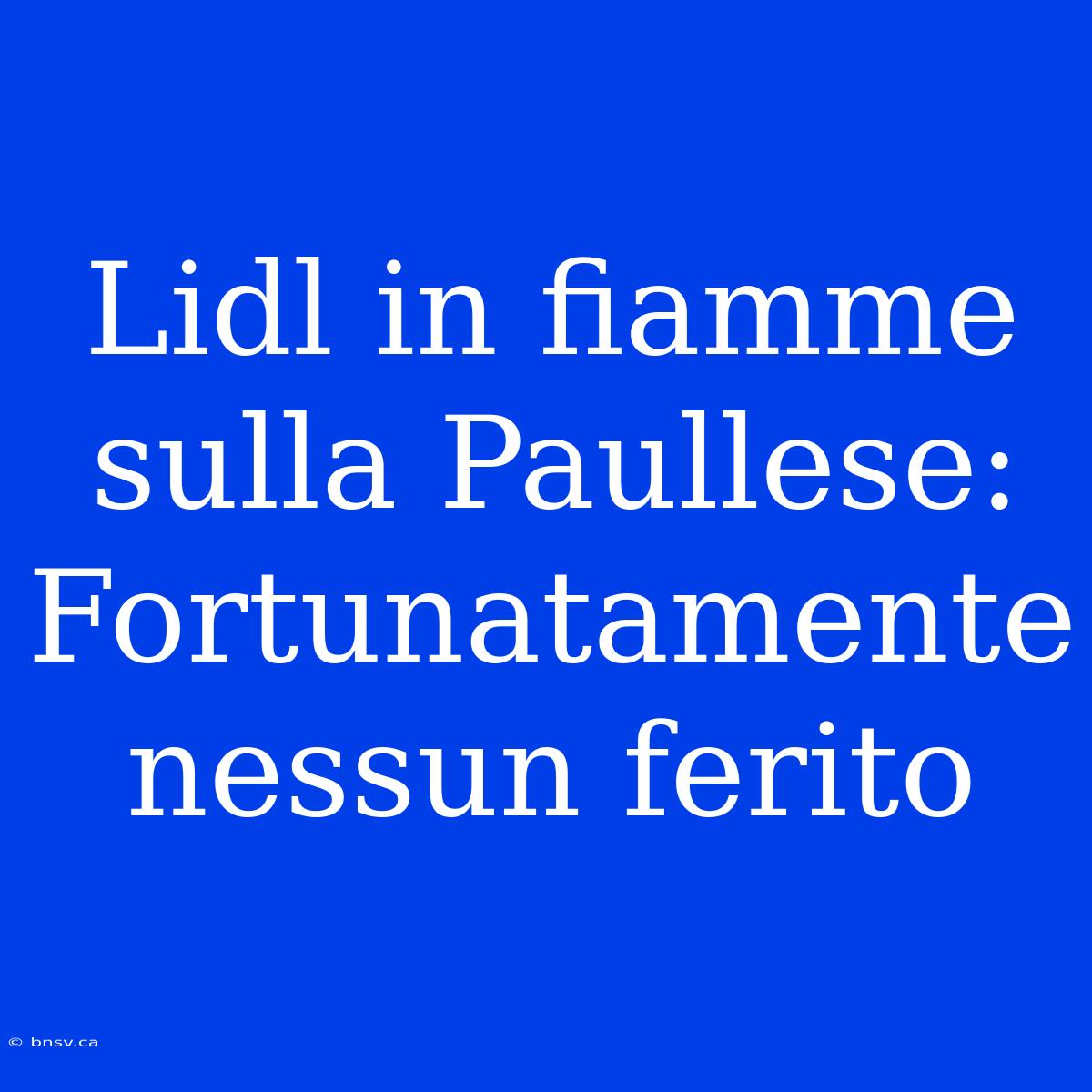 Lidl In Fiamme Sulla Paullese: Fortunatamente Nessun Ferito