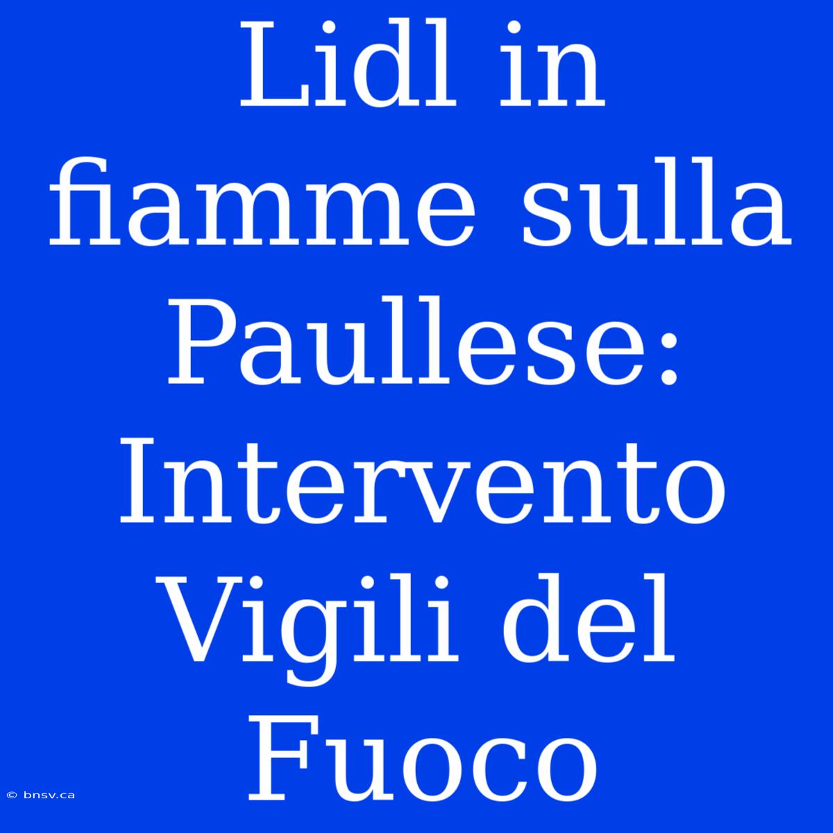 Lidl In Fiamme Sulla Paullese: Intervento Vigili Del Fuoco