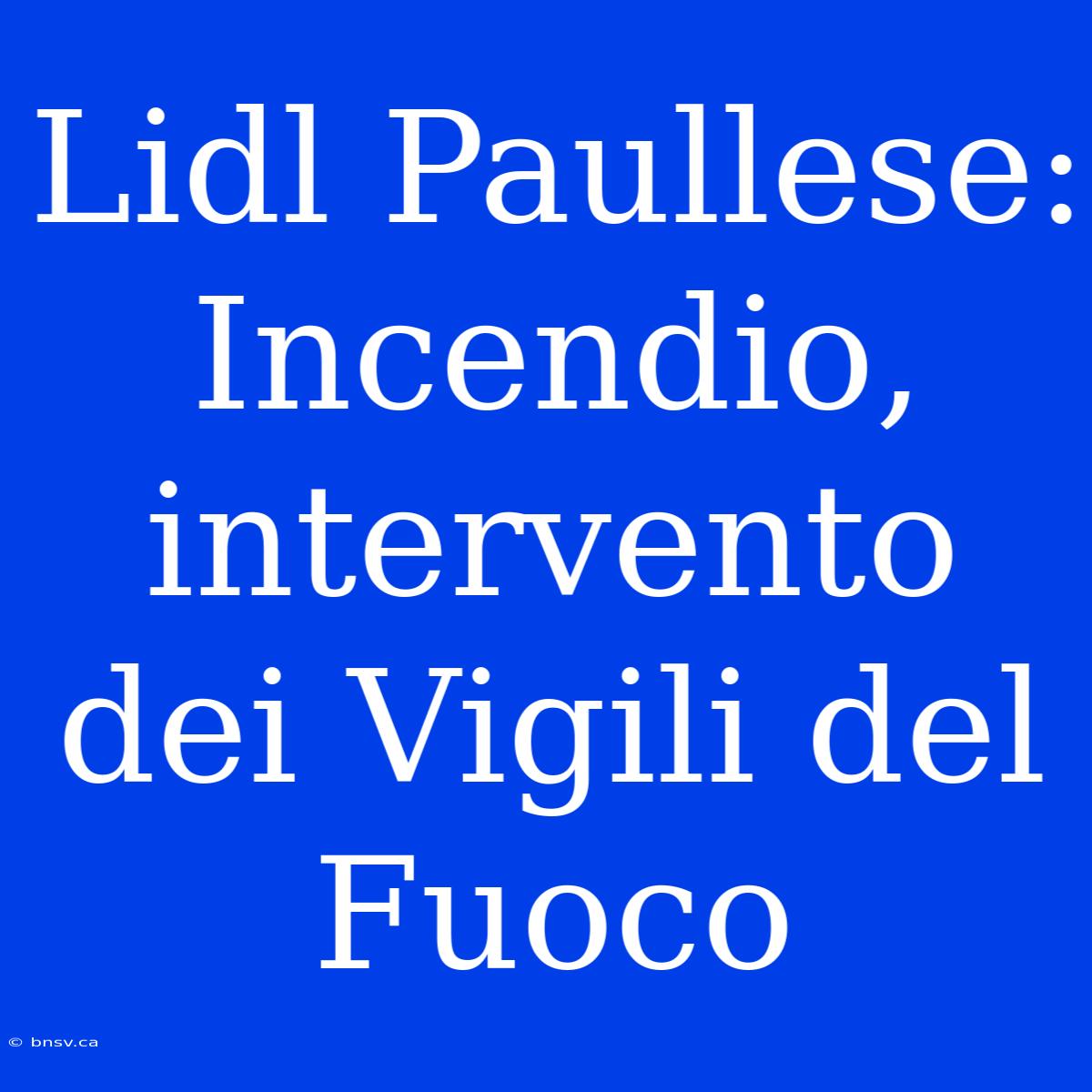 Lidl Paullese: Incendio, Intervento Dei Vigili Del Fuoco