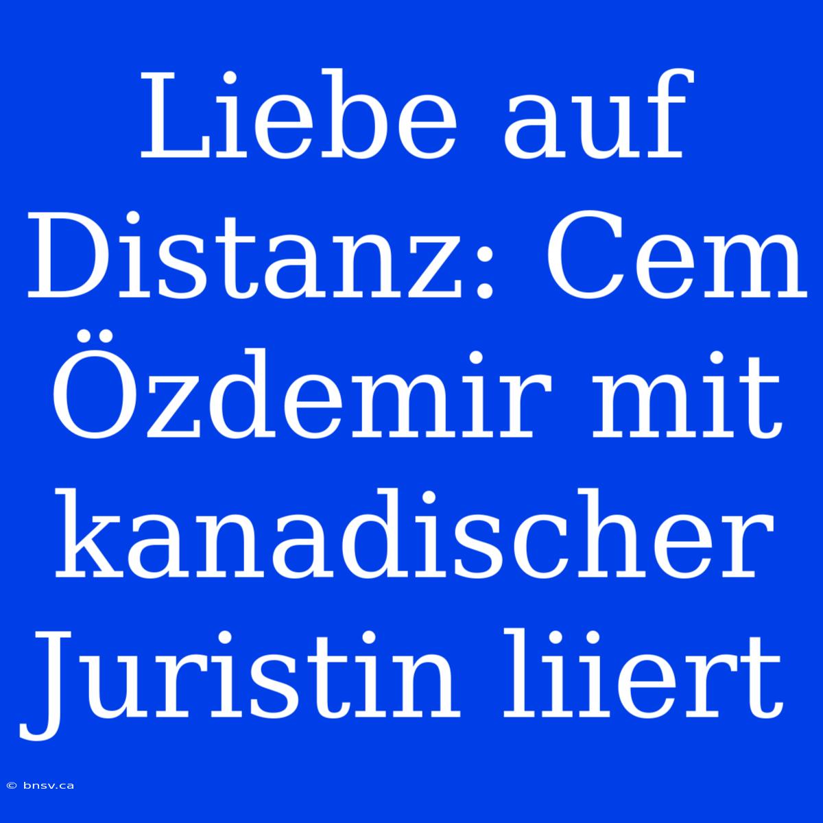 Liebe Auf Distanz: Cem Özdemir Mit Kanadischer Juristin Liiert