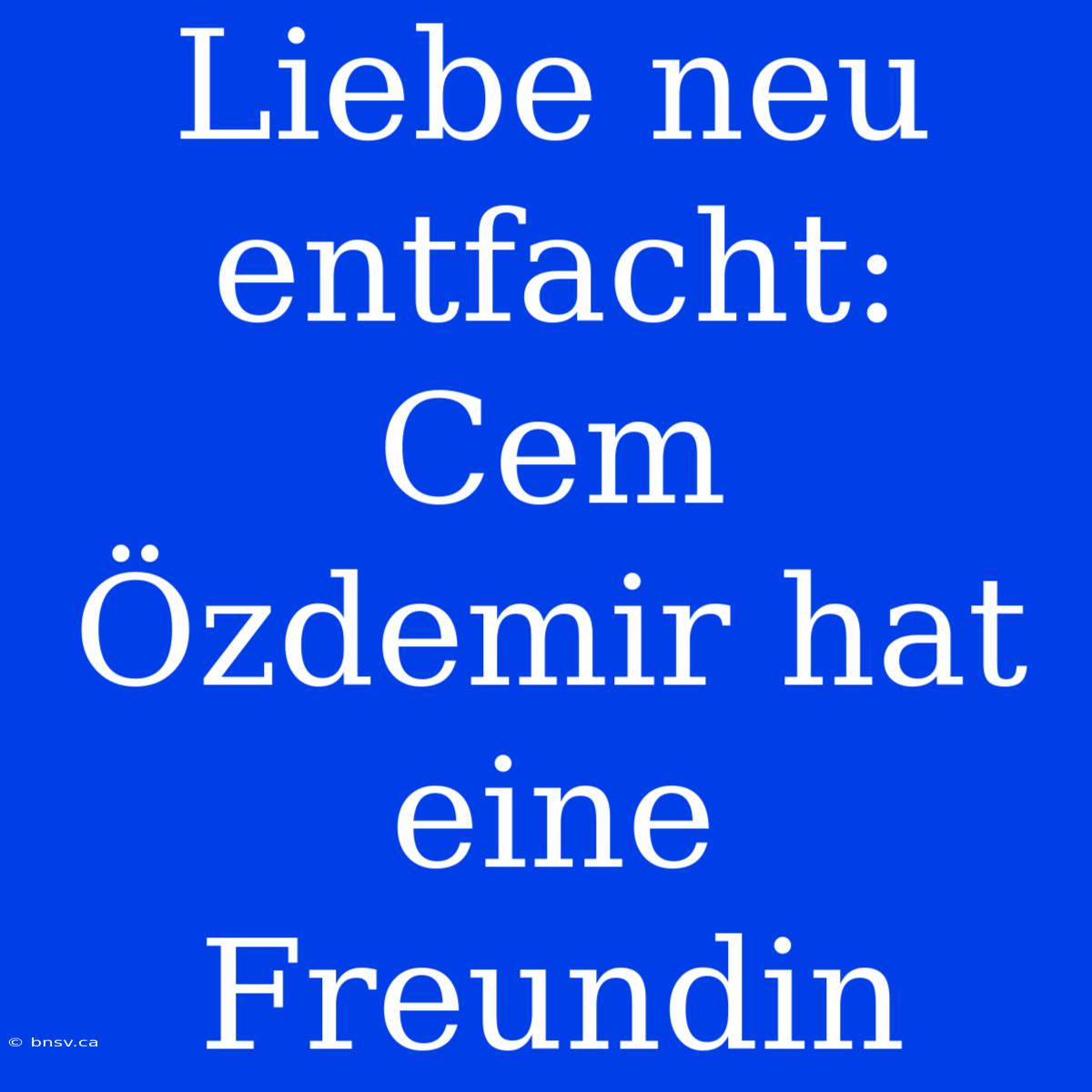 Liebe Neu Entfacht: Cem Özdemir Hat Eine Freundin