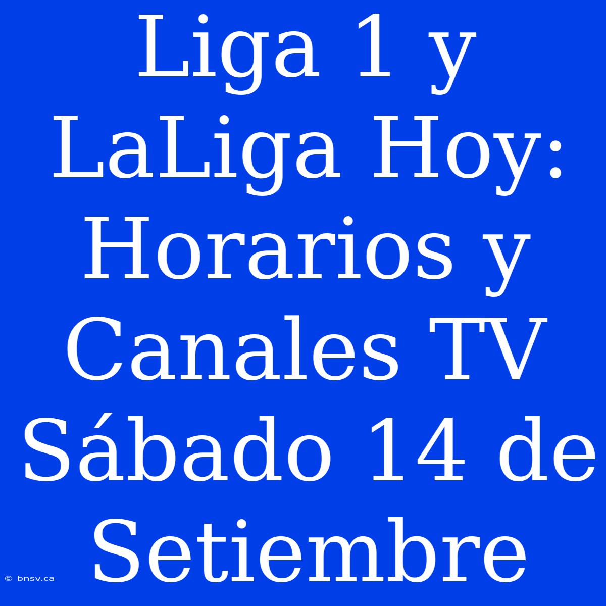 Liga 1 Y LaLiga Hoy: Horarios Y Canales TV Sábado 14 De Setiembre