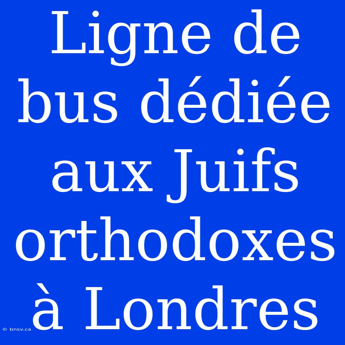 Ligne De Bus Dédiée Aux Juifs Orthodoxes À Londres