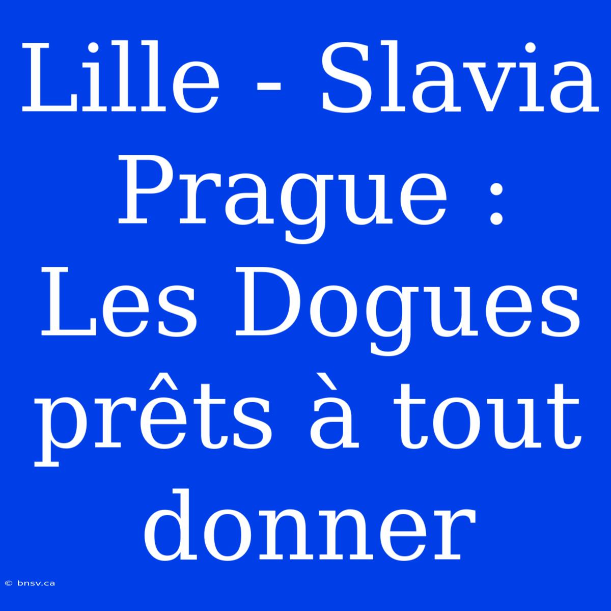 Lille - Slavia Prague : Les Dogues Prêts À Tout Donner