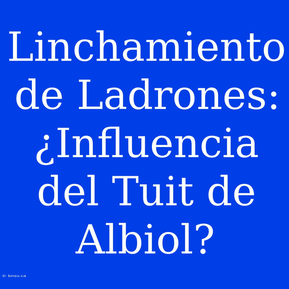 Linchamiento De Ladrones: ¿Influencia Del Tuit De Albiol?