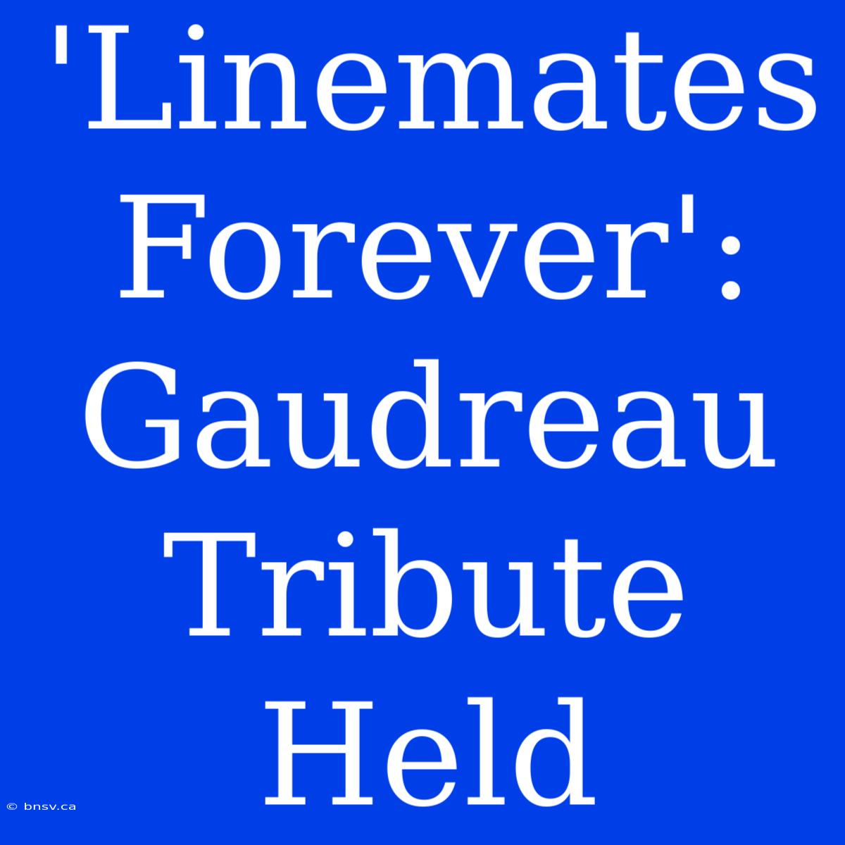 'Linemates Forever': Gaudreau Tribute Held