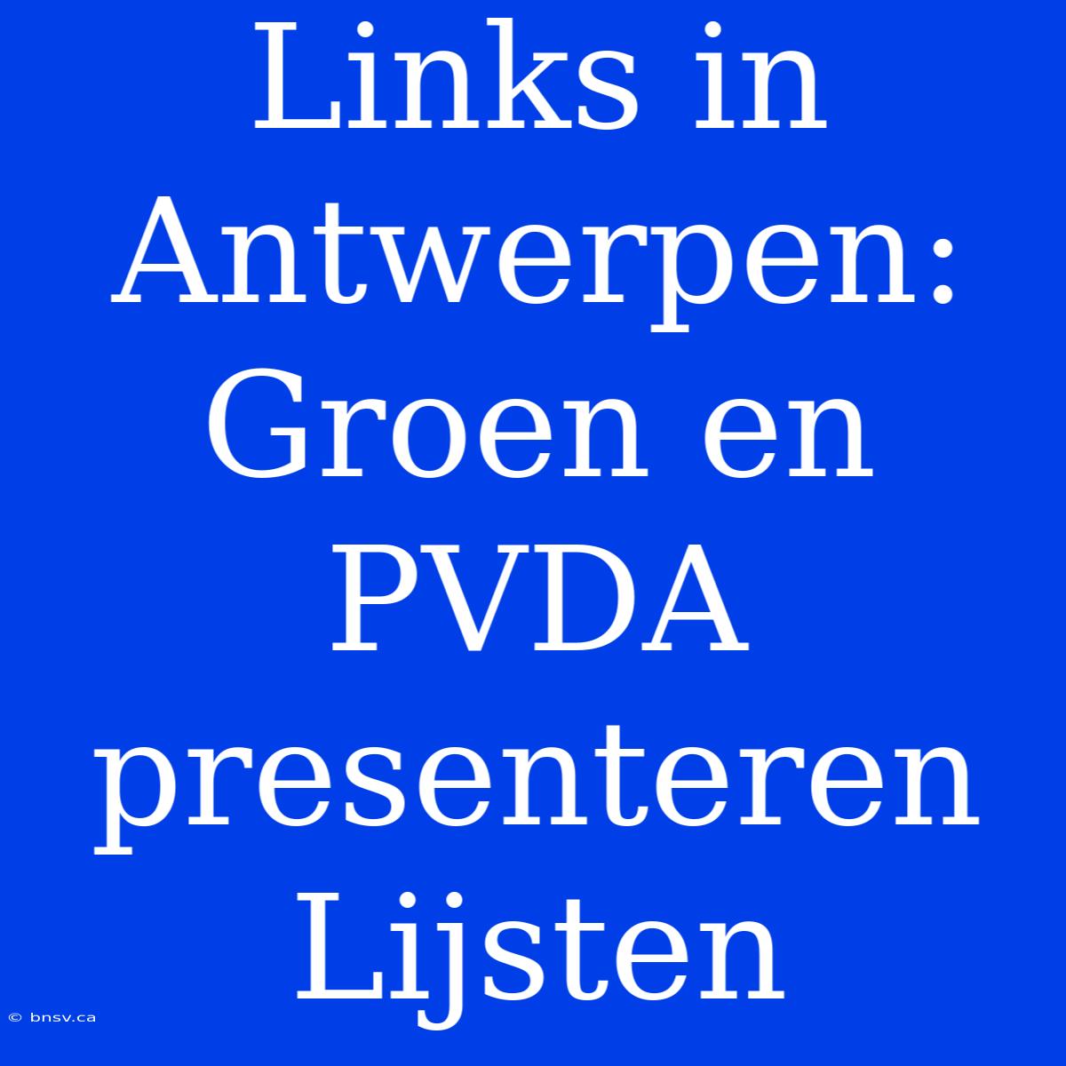 Links In Antwerpen: Groen En PVDA Presenteren Lijsten