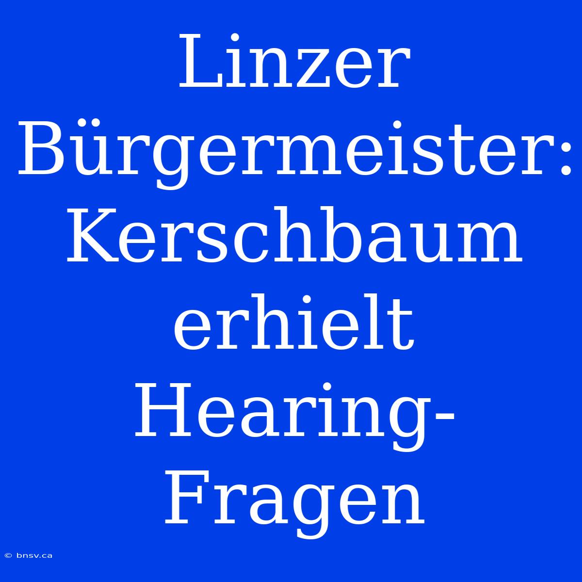 Linzer Bürgermeister: Kerschbaum Erhielt Hearing-Fragen