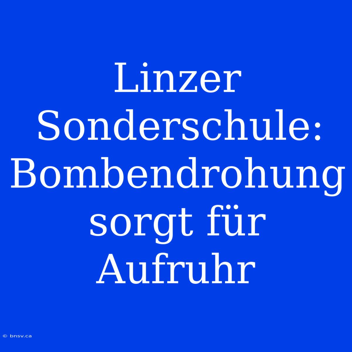 Linzer Sonderschule: Bombendrohung Sorgt Für Aufruhr