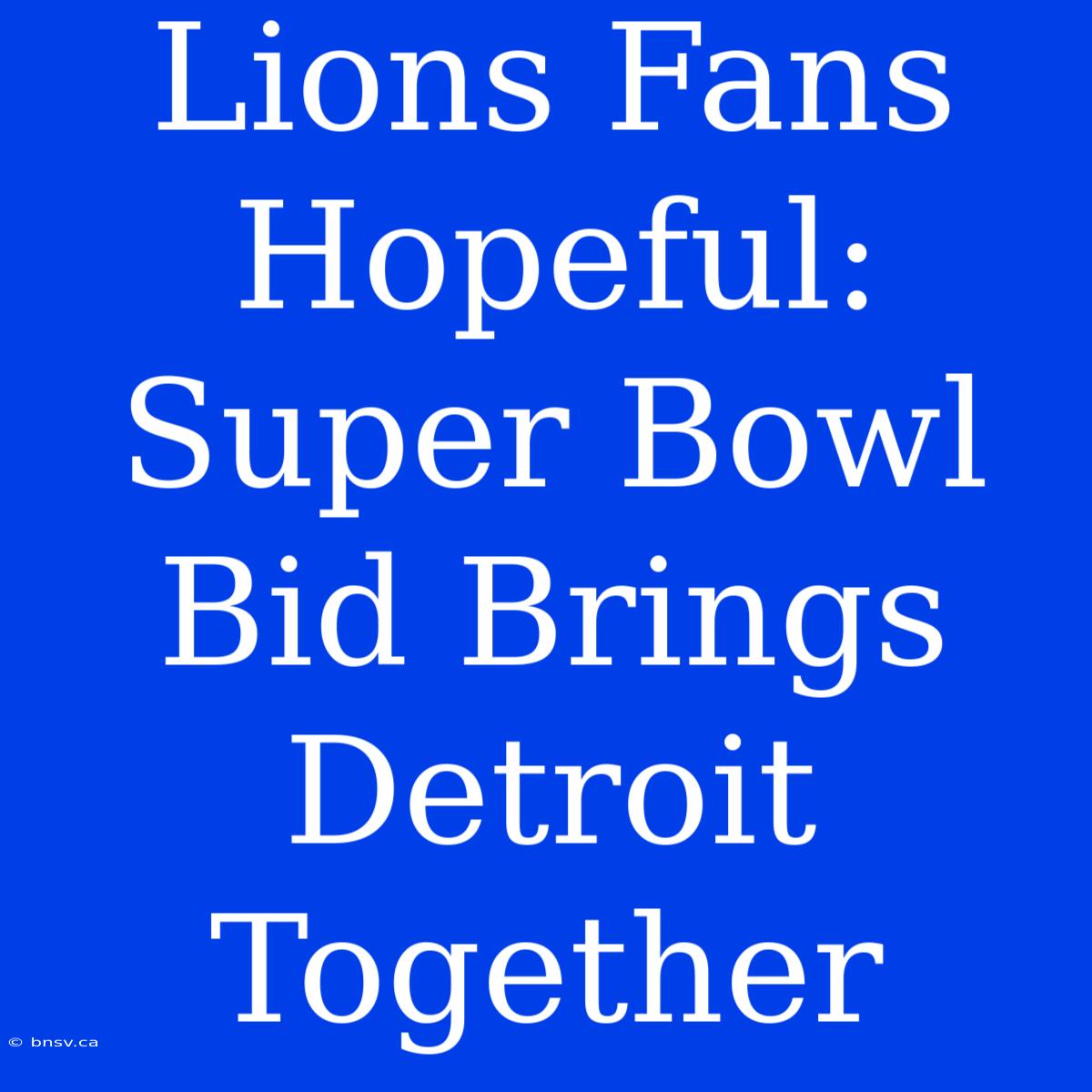 Lions Fans Hopeful: Super Bowl Bid Brings Detroit Together