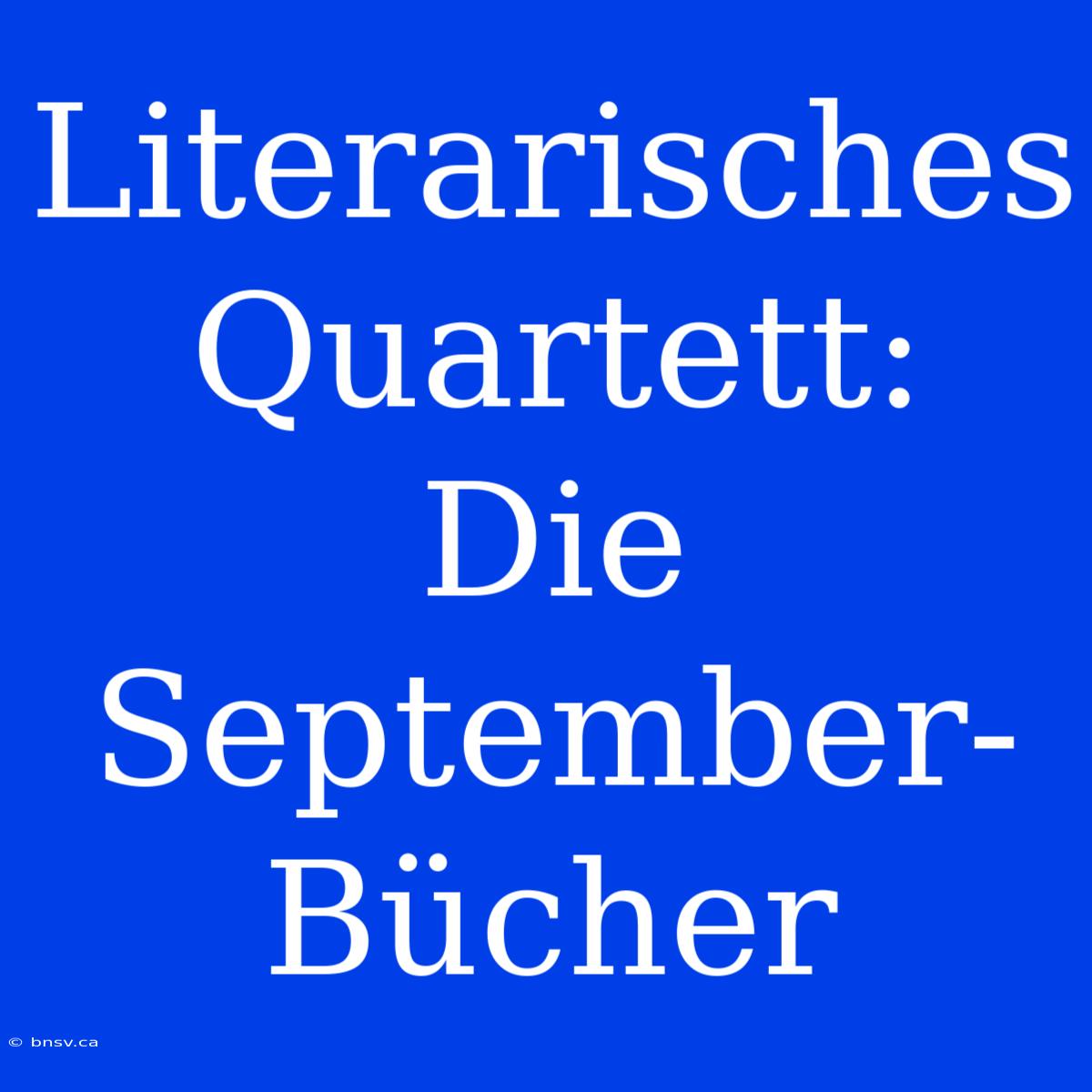 Literarisches Quartett: Die September-Bücher