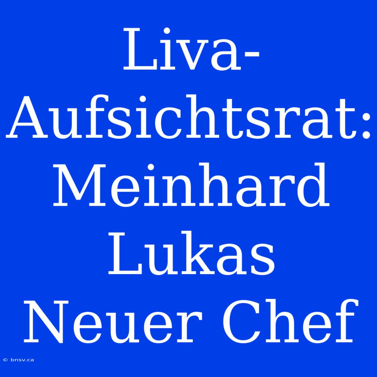 Liva-Aufsichtsrat: Meinhard Lukas Neuer Chef