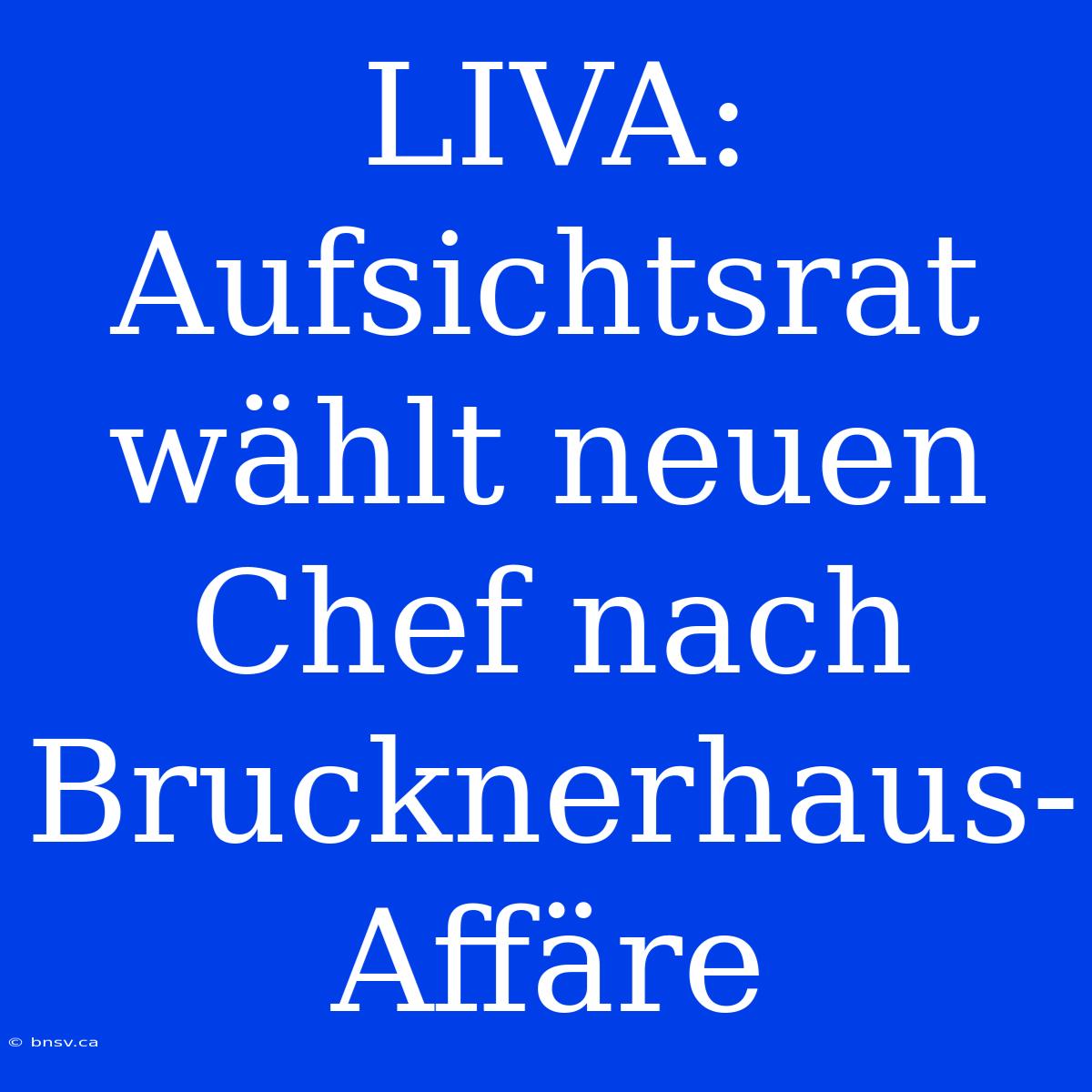 LIVA: Aufsichtsrat Wählt Neuen Chef Nach Brucknerhaus-Affäre