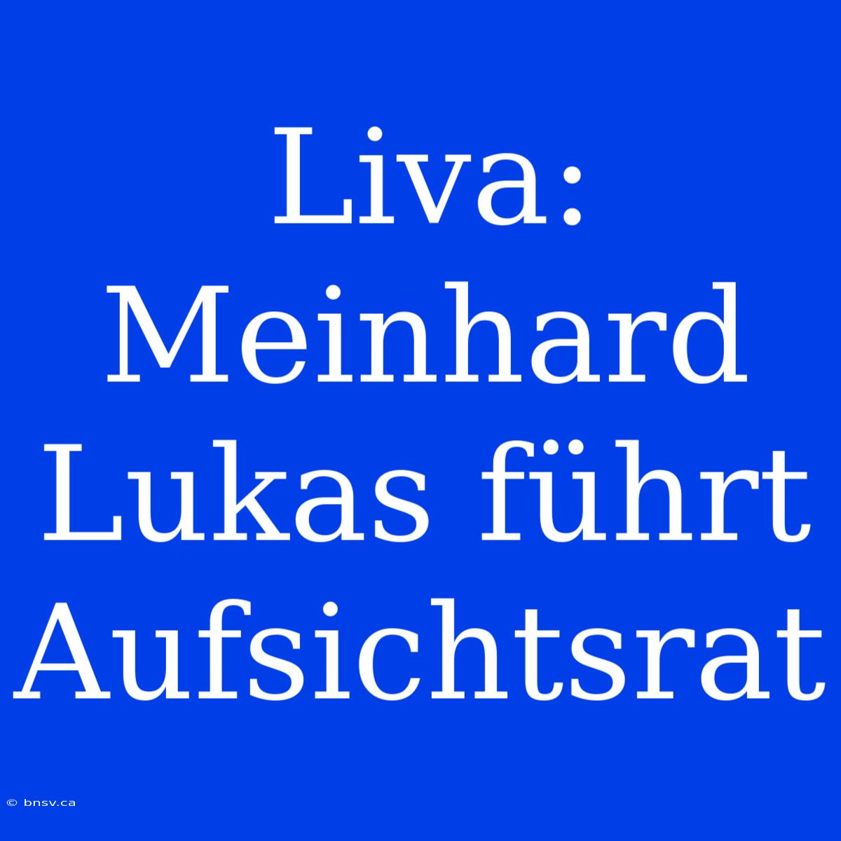 Liva: Meinhard Lukas Führt Aufsichtsrat