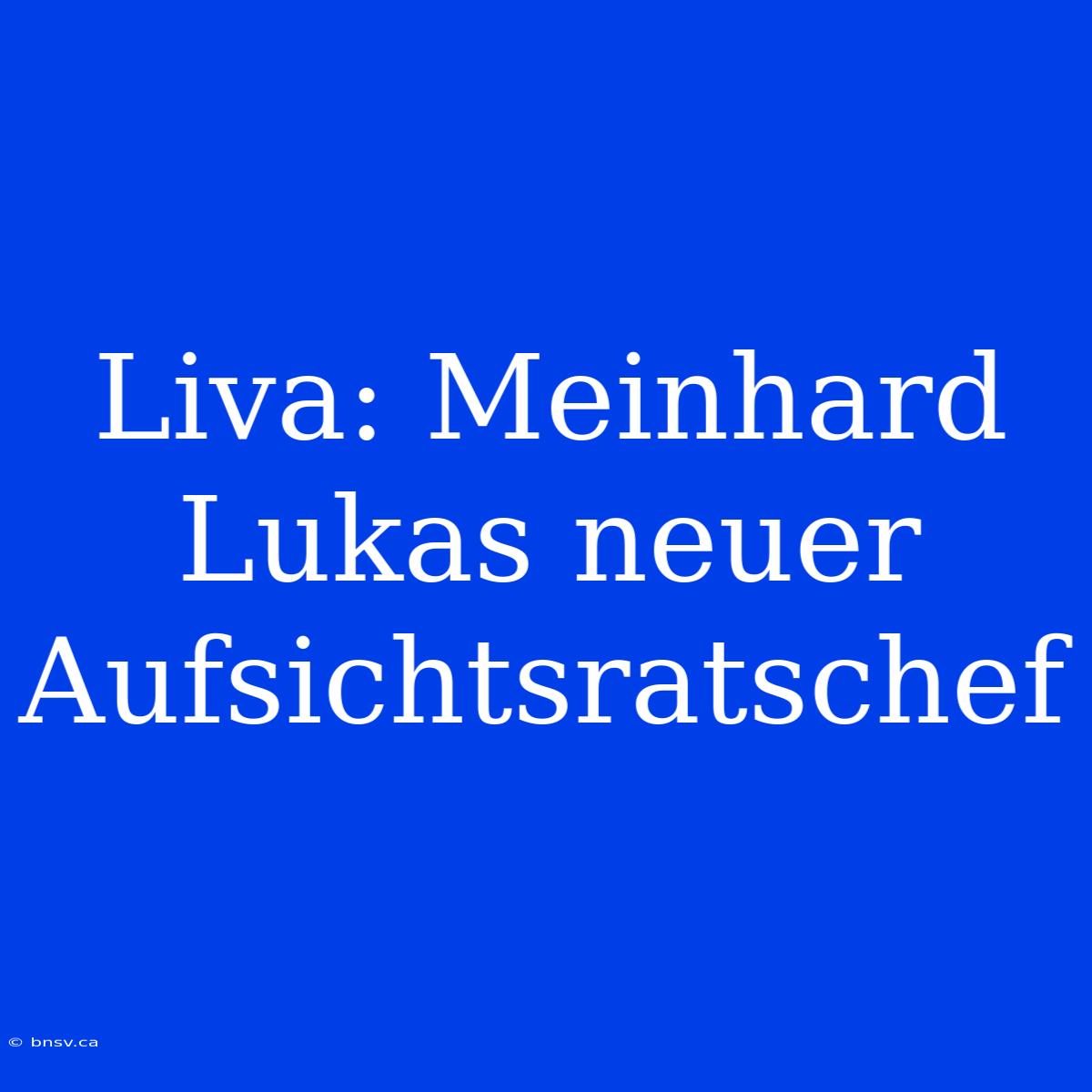 Liva: Meinhard Lukas Neuer Aufsichtsratschef