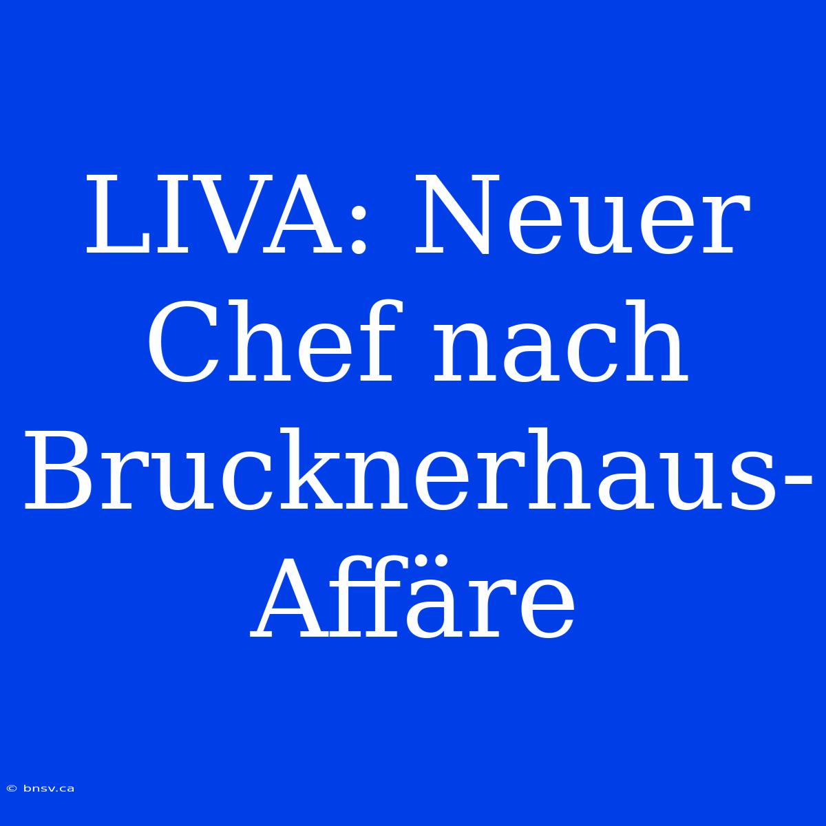 LIVA: Neuer Chef Nach Brucknerhaus-Affäre